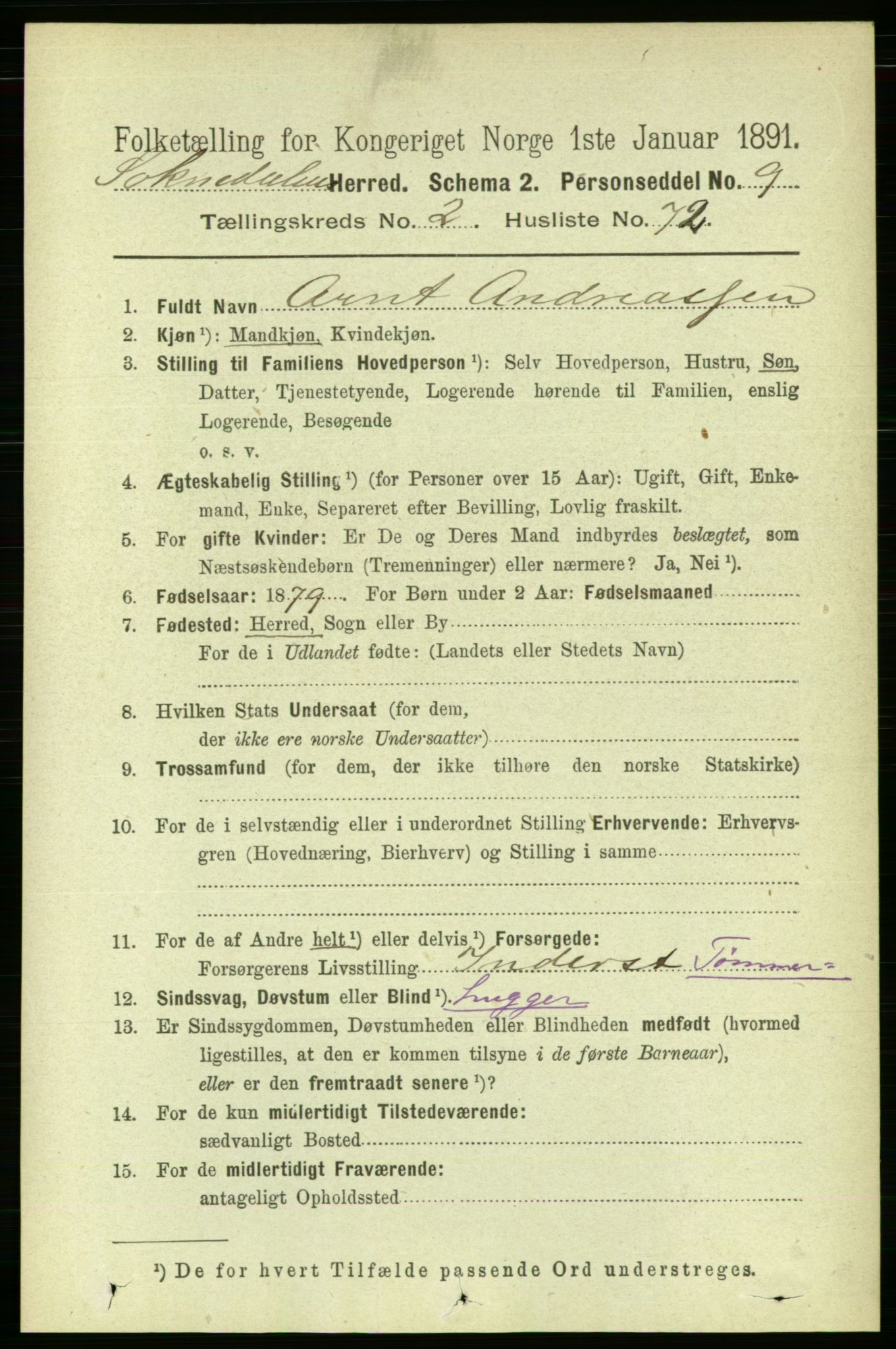 RA, 1891 census for 1649 Soknedal, 1891, p. 943