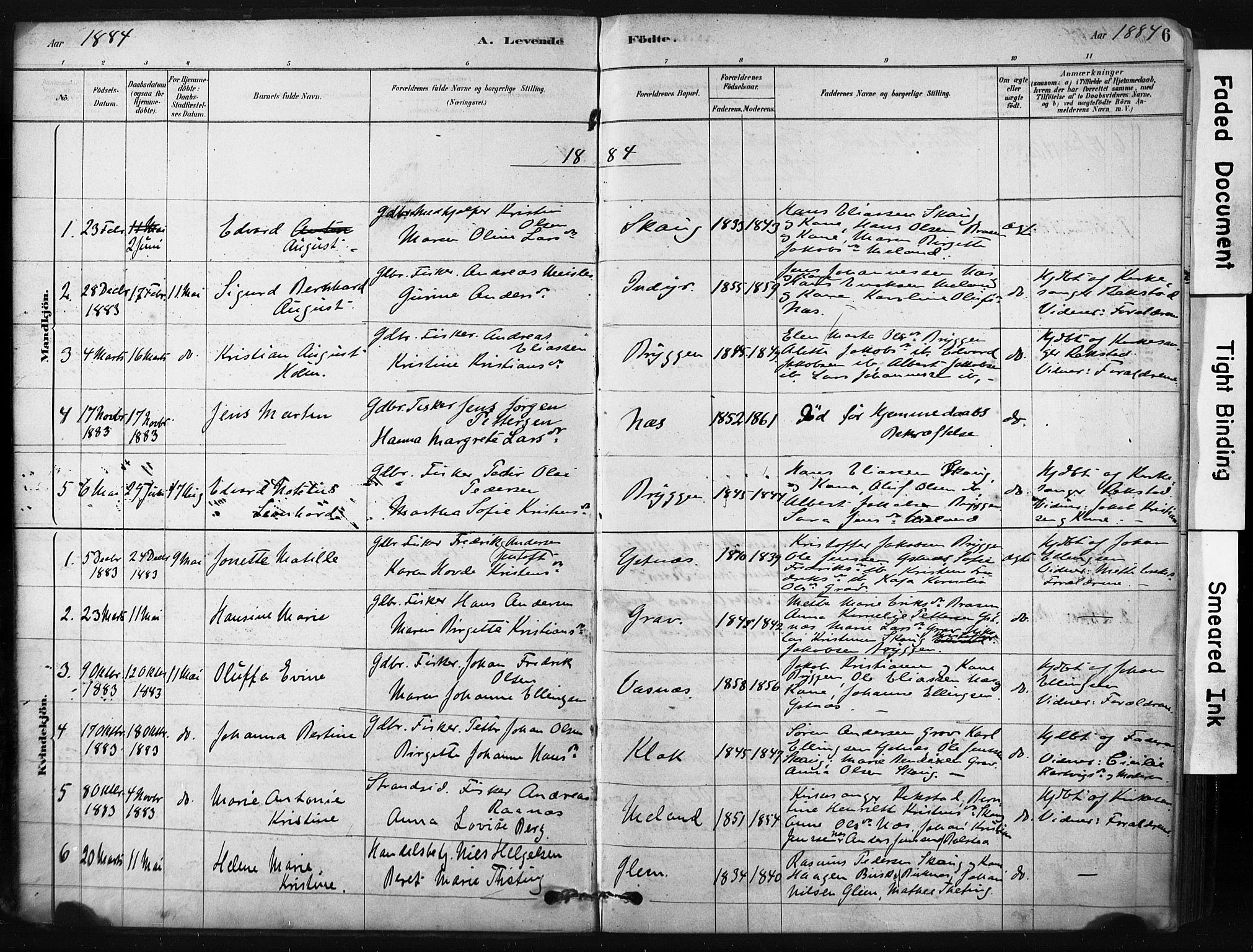 Ministerialprotokoller, klokkerbøker og fødselsregistre - Nordland, AV/SAT-A-1459/808/L0128: Parish register (official) no. 808A01, 1880-1902, p. 6