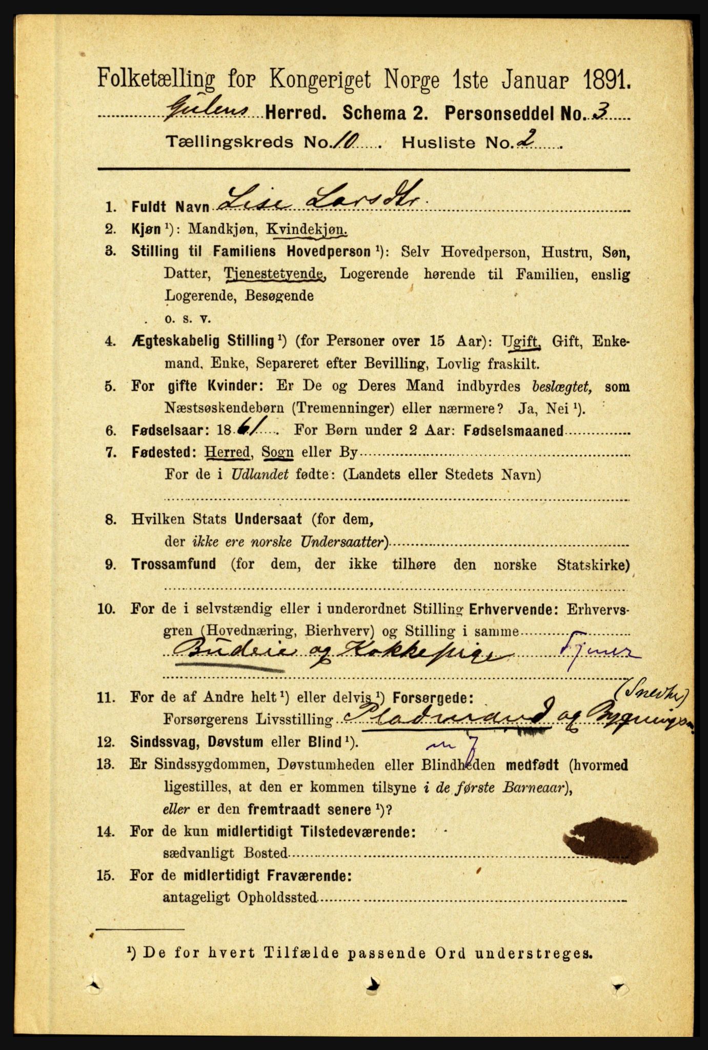 RA, 1891 census for 1411 Gulen, 1891, p. 3315