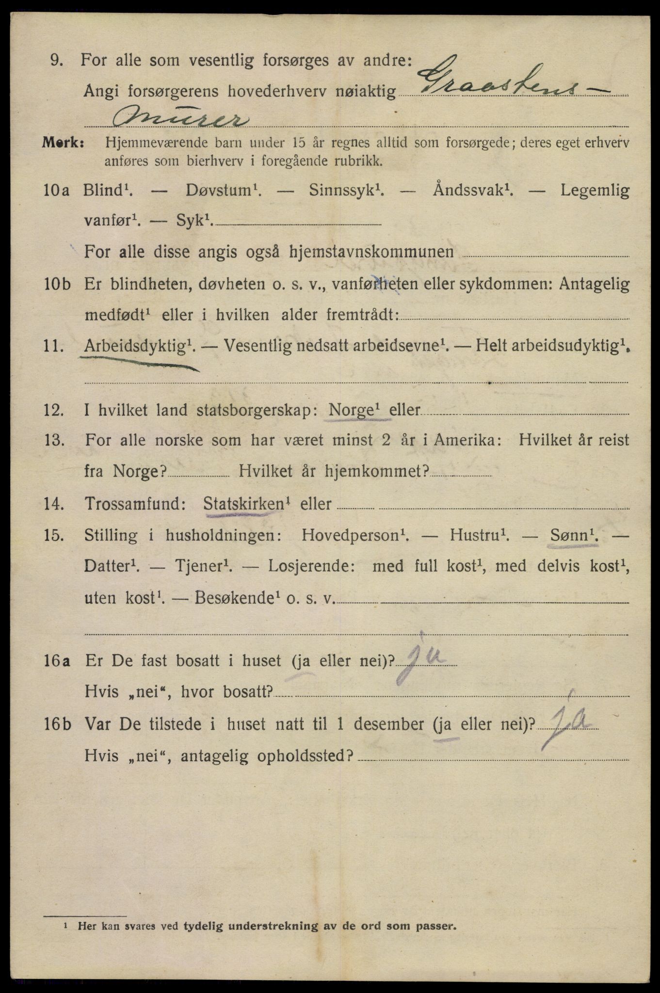 SAKO, 1920 census for Langesund, 1920, p. 2734