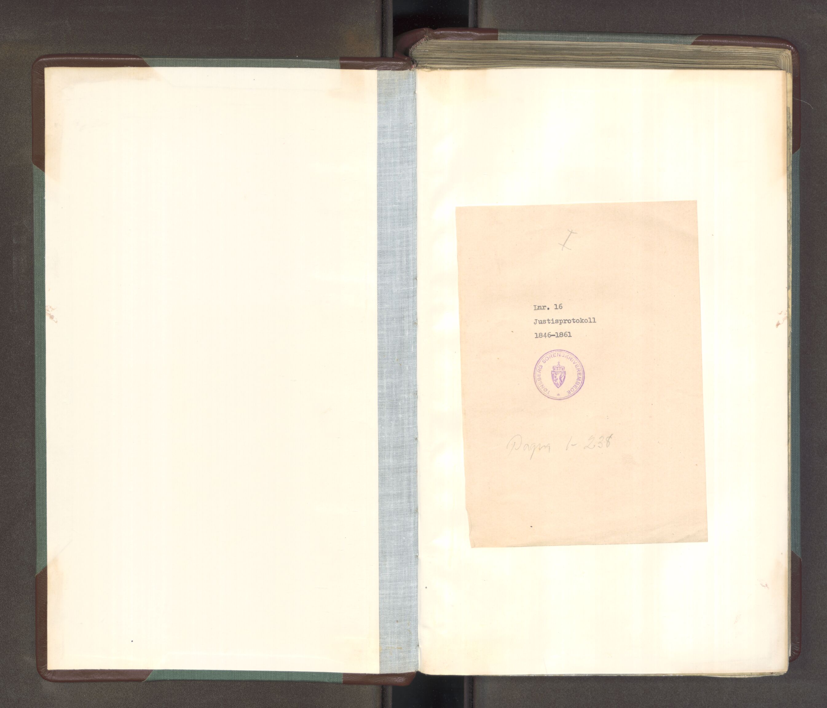 Søndre Jarlsberg sorenskriveri, AV/SAKO-A-129/F/Fa/L0034A: Tingbok, 1846-1850