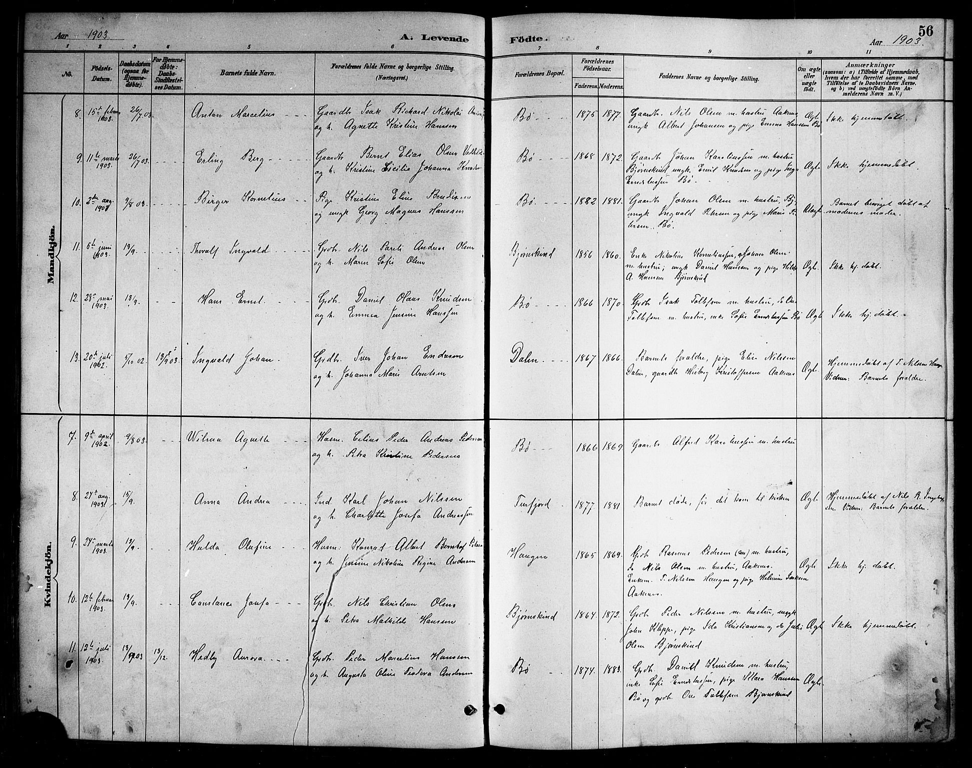 Ministerialprotokoller, klokkerbøker og fødselsregistre - Nordland, SAT/A-1459/898/L1427: Parish register (copy) no. 898C02, 1887-1917, p. 56