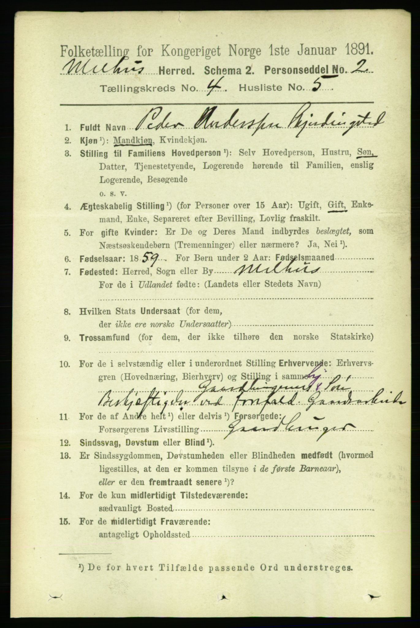 RA, 1891 census for 1653 Melhus, 1891, p. 1992