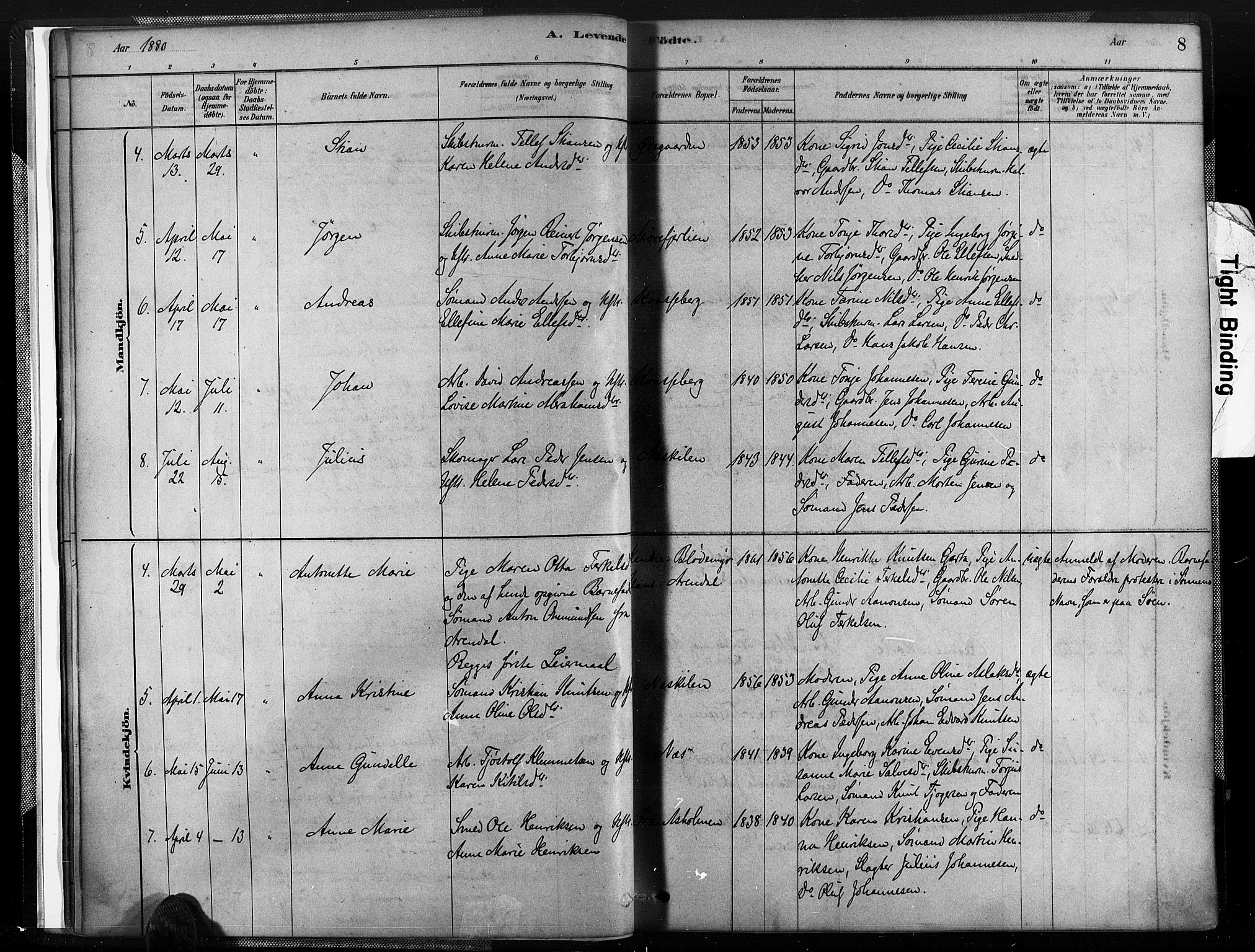 Austre Moland sokneprestkontor, AV/SAK-1111-0001/F/Fa/Fab/L0001: Parish register (official) no. A 1, 1878-1898, p. 8