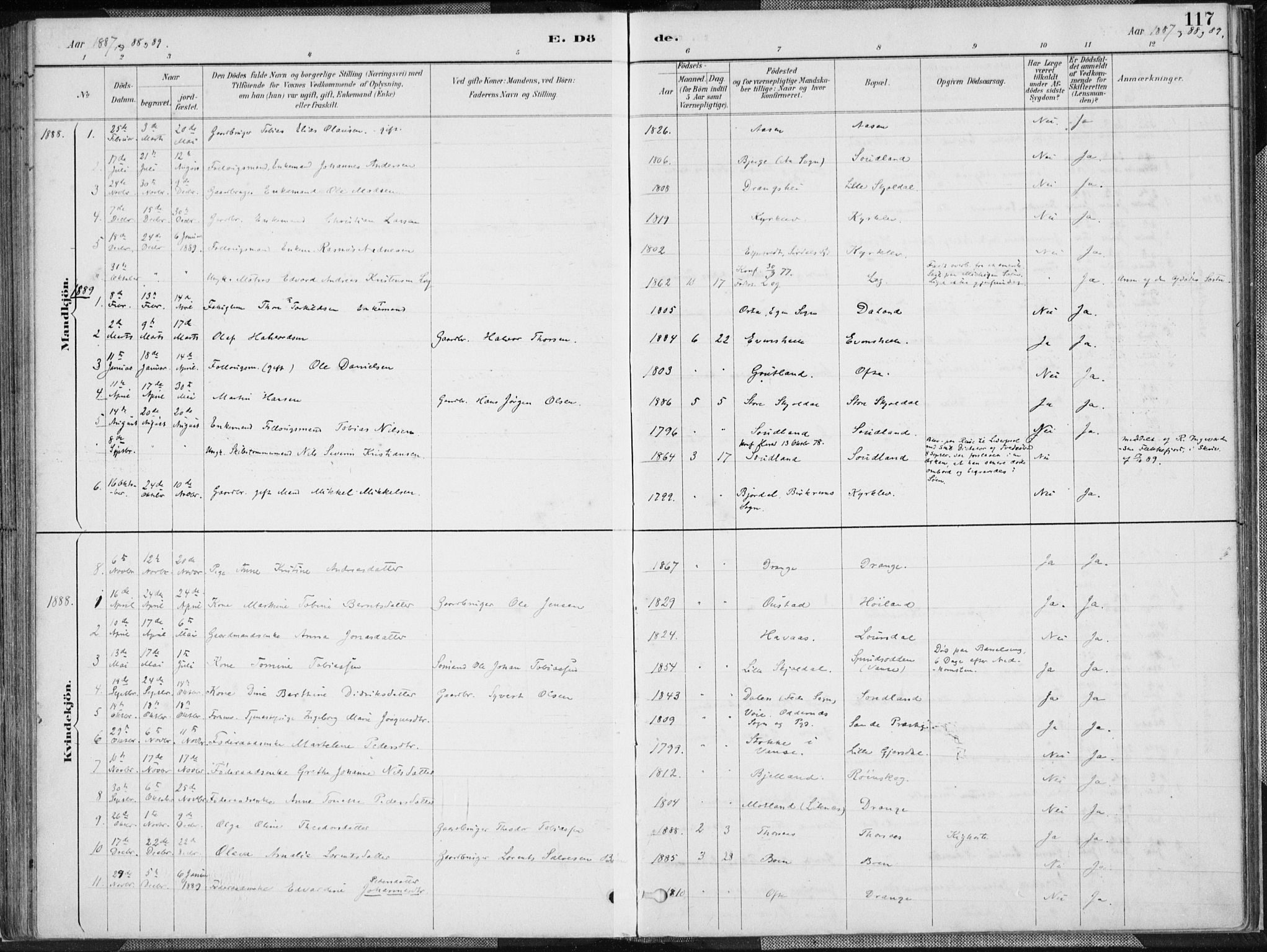 Herad sokneprestkontor, AV/SAK-1111-0018/F/Fa/Faa/L0006: Parish register (official) no. A 6, 1887-1907, p. 117