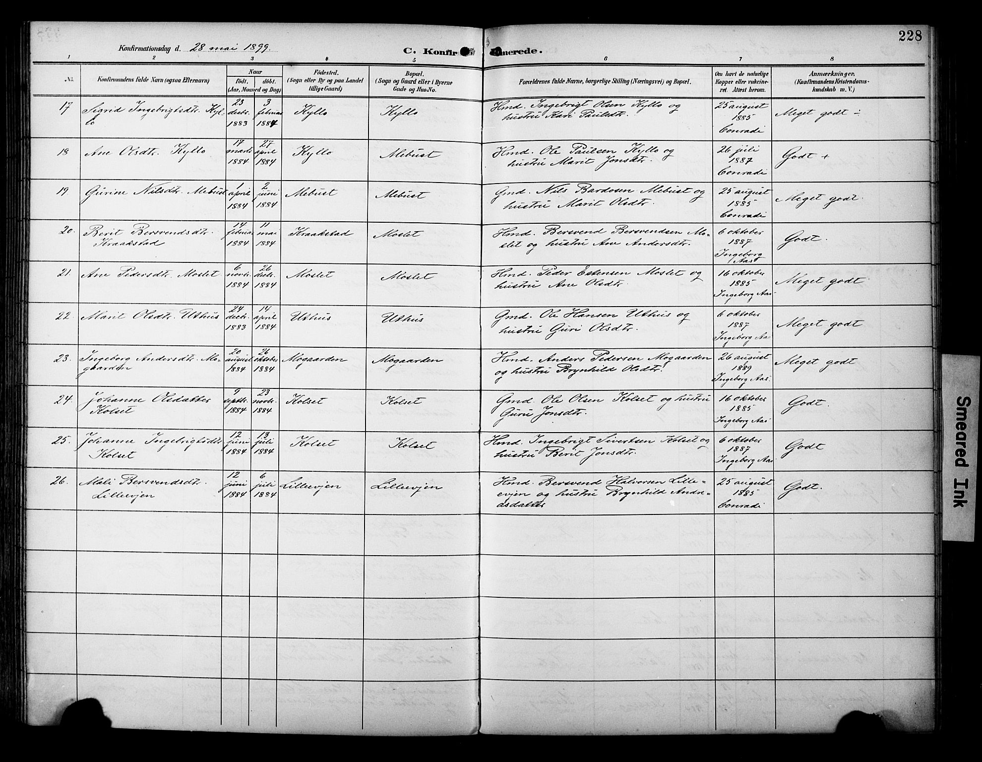 Ministerialprotokoller, klokkerbøker og fødselsregistre - Sør-Trøndelag, AV/SAT-A-1456/695/L1149: Parish register (official) no. 695A09, 1891-1902, p. 228