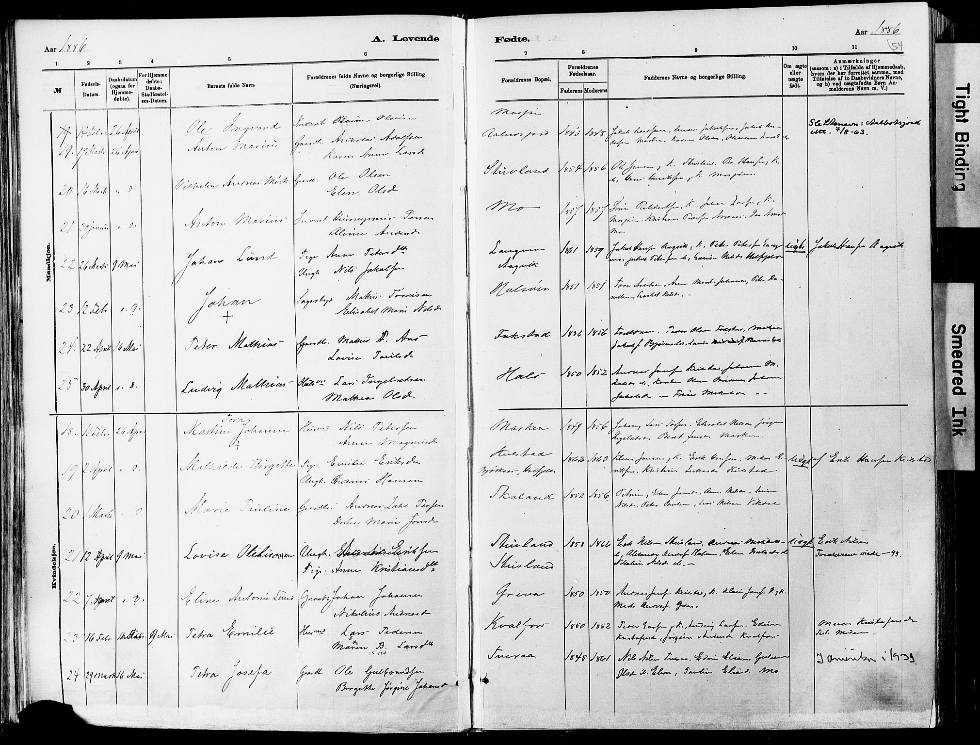 Ministerialprotokoller, klokkerbøker og fødselsregistre - Nordland, AV/SAT-A-1459/820/L0295: Parish register (official) no. 820A16, 1880-1896, p. 54