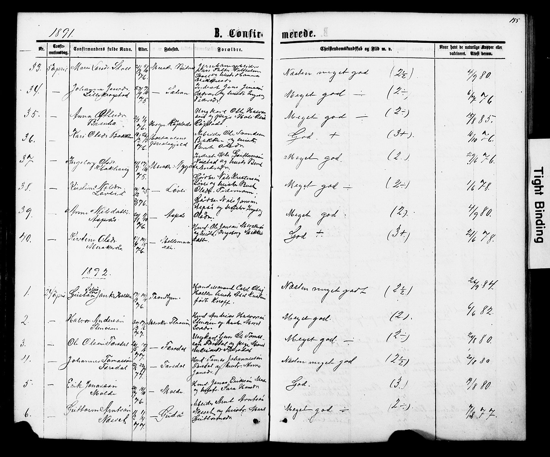 Ministerialprotokoller, klokkerbøker og fødselsregistre - Nord-Trøndelag, SAT/A-1458/706/L0049: Parish register (copy) no. 706C01, 1864-1895, p. 155