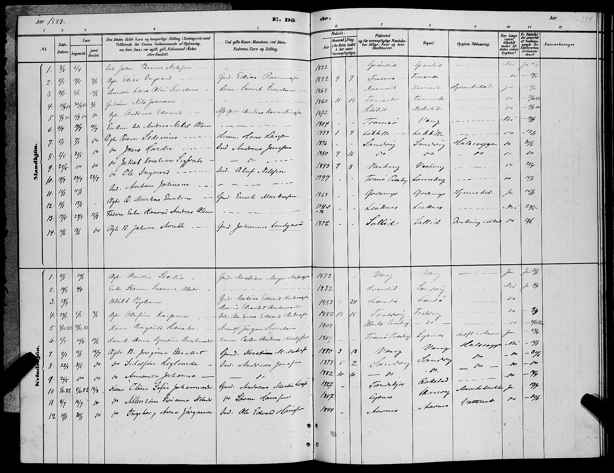 Lenvik sokneprestembete, SATØ/S-1310/H/Ha/Hab/L0006klokker: Parish register (copy) no. 6, 1881-1889, p. 224
