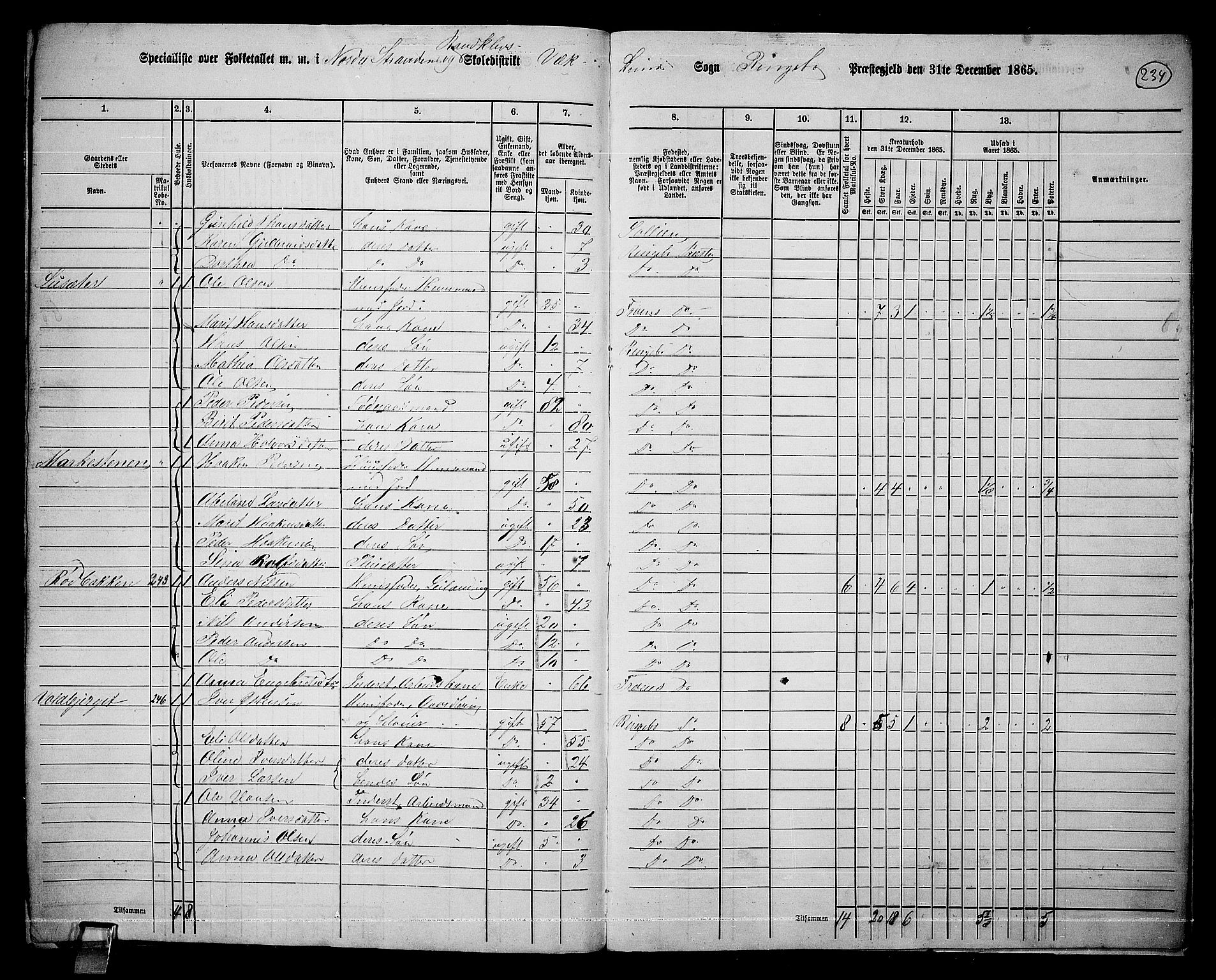 RA, 1865 census for Ringebu, 1865, p. 205