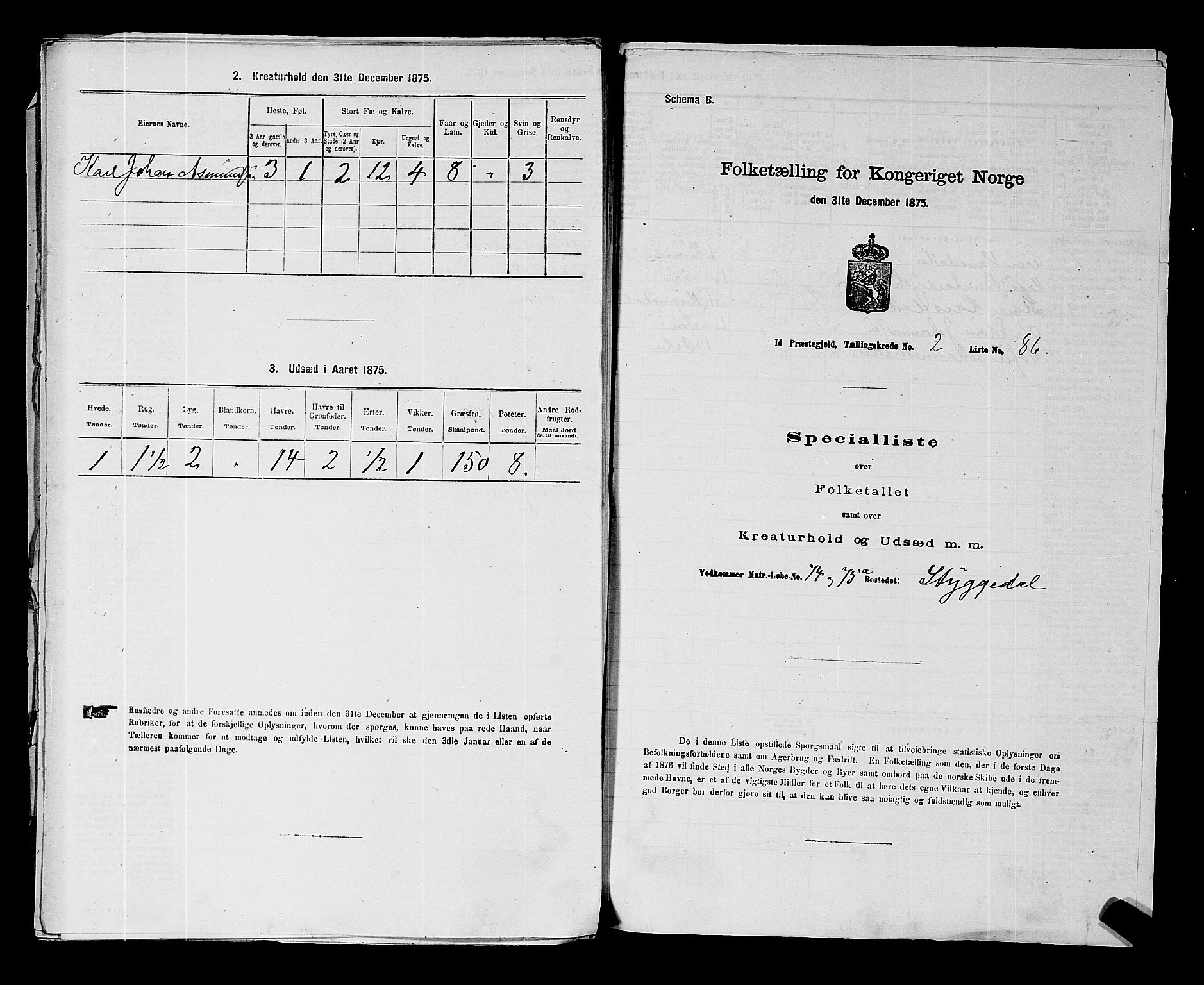 RA, 1875 census for 0117P Idd, 1875, p. 398