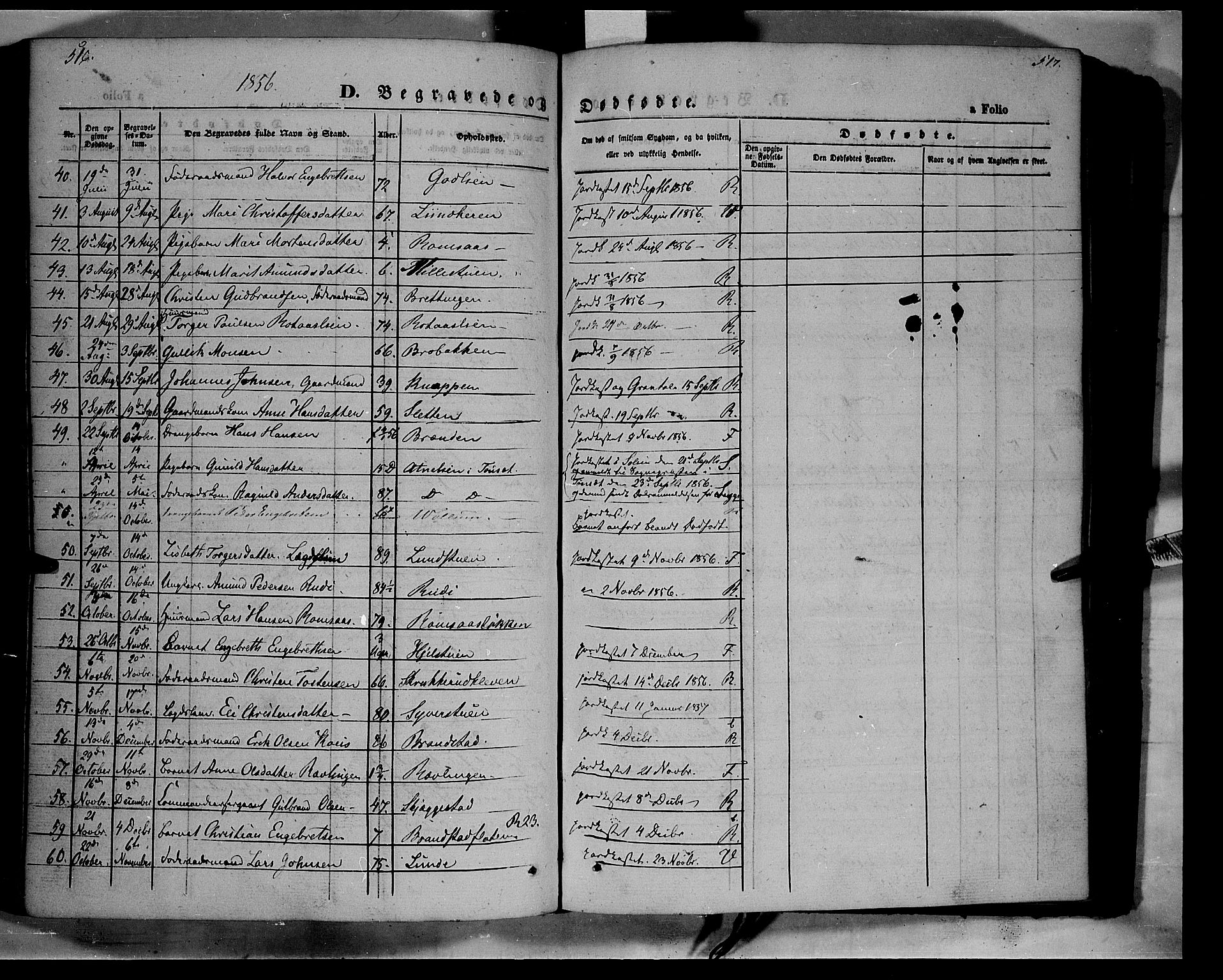 Ringebu prestekontor, SAH/PREST-082/H/Ha/Haa/L0006: Parish register (official) no. 6, 1848-1859, p. 516-517