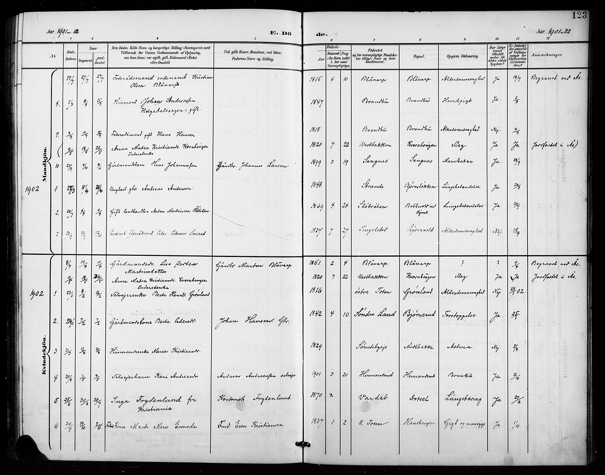 Vestre Toten prestekontor, AV/SAH-PREST-108/H/Ha/Hab/L0016: Parish register (copy) no. 16, 1901-1915, p. 123