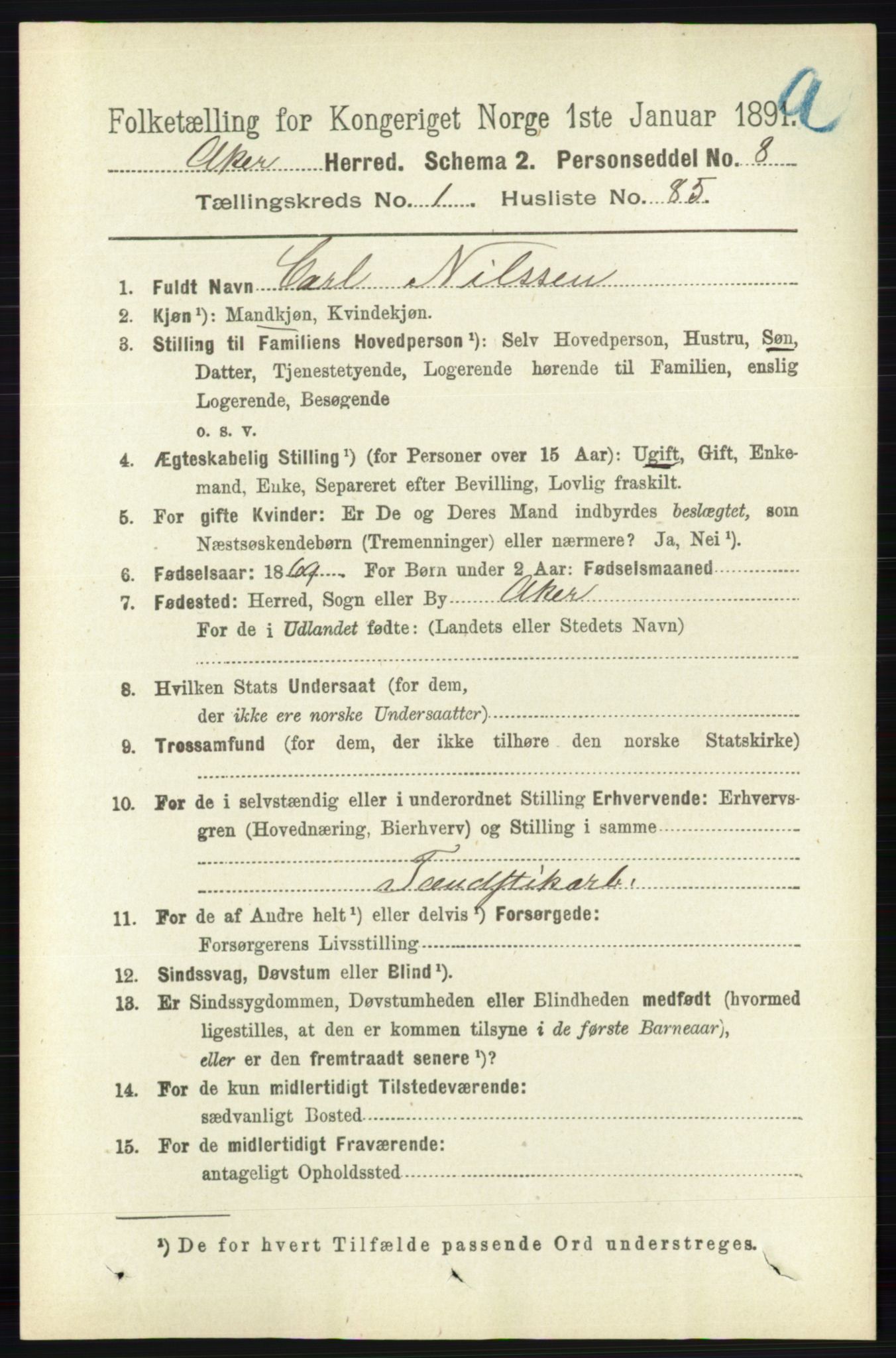 RA, 1891 census for 0218 Aker, 1891, p. 1167