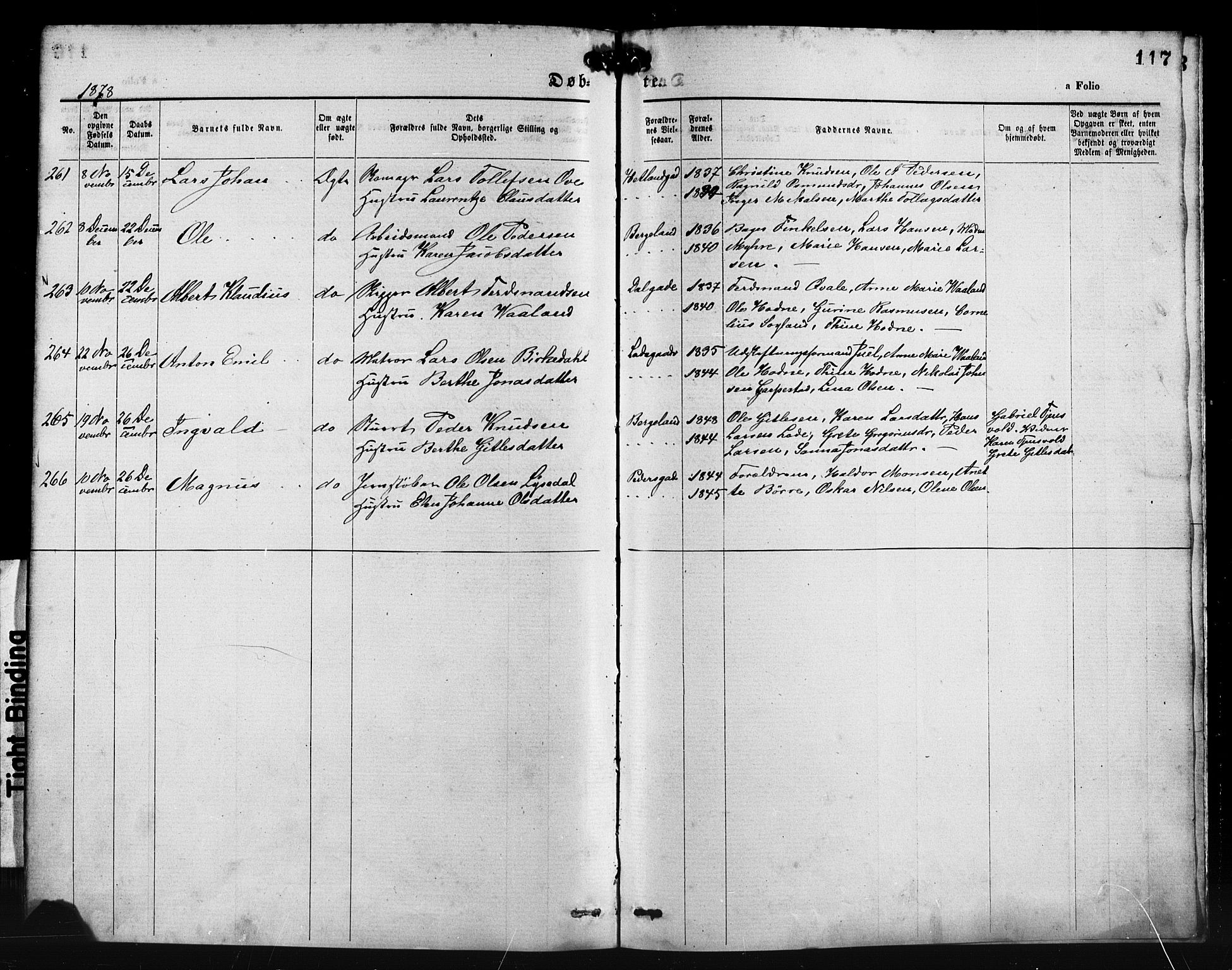 St. Petri sokneprestkontor, AV/SAST-A-101813/001/30/30BA/L0014: Parish register (official) no. A 14, 1876-1879, p. 117