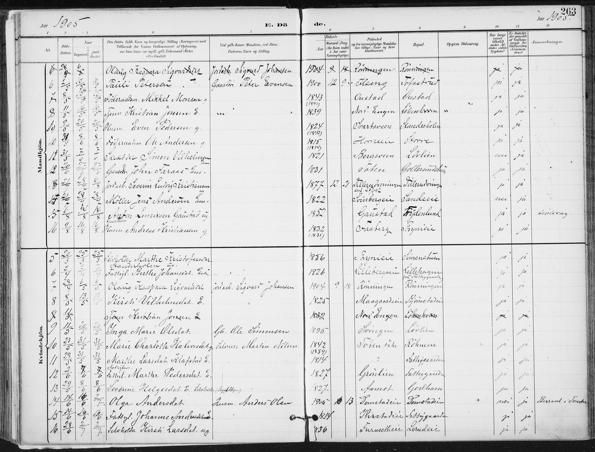 Romedal prestekontor, AV/SAH-PREST-004/K/L0011: Parish register (official) no. 11, 1896-1912, p. 263