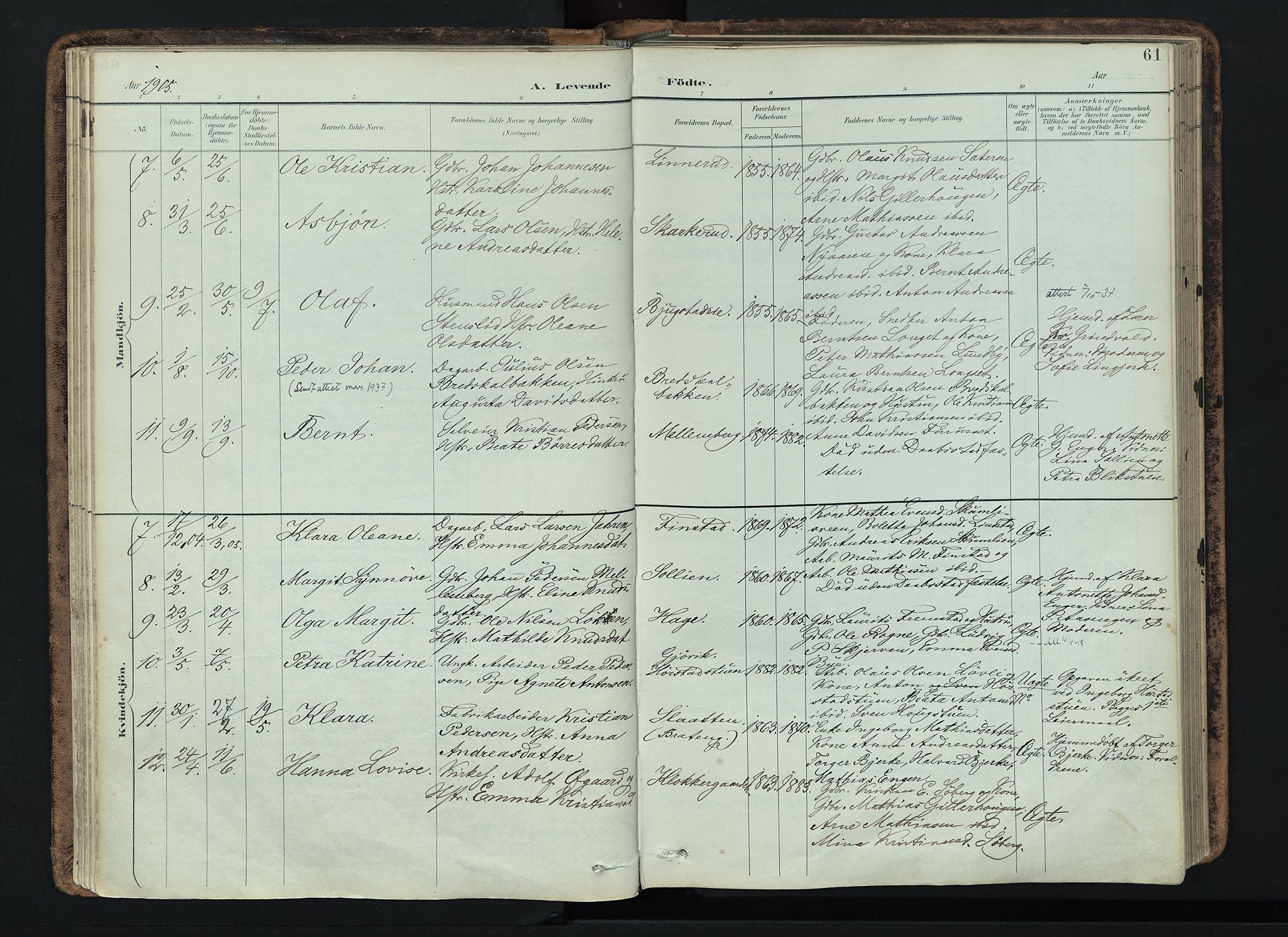 Vardal prestekontor, AV/SAH-PREST-100/H/Ha/Haa/L0019: Parish register (official) no. 19, 1893-1907, p. 61