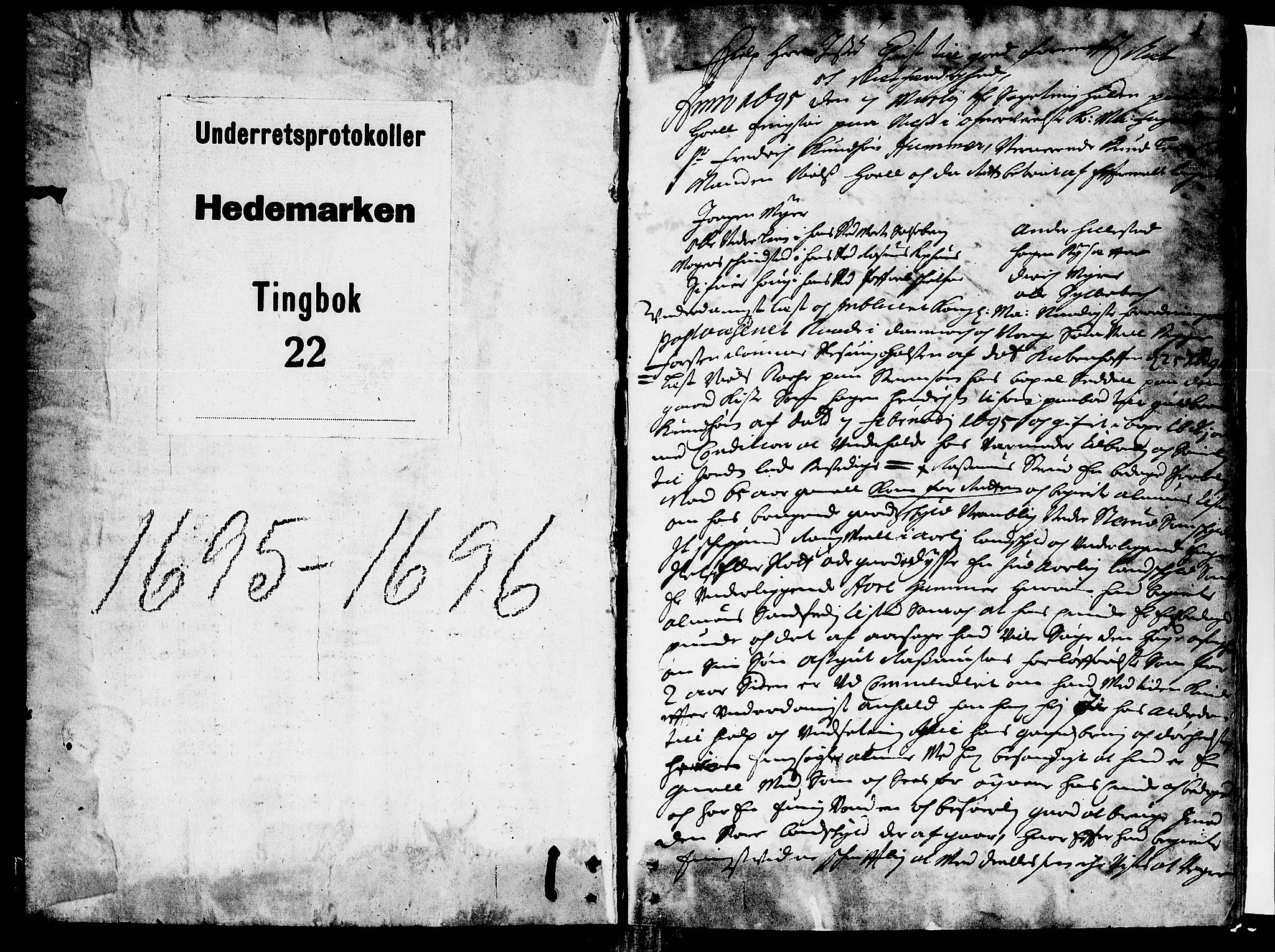 Hedemarken sorenskriveri, SAH/TING-034/G/Gb/L0023: Tingbok, 1695-1696, p. 0b-1a
