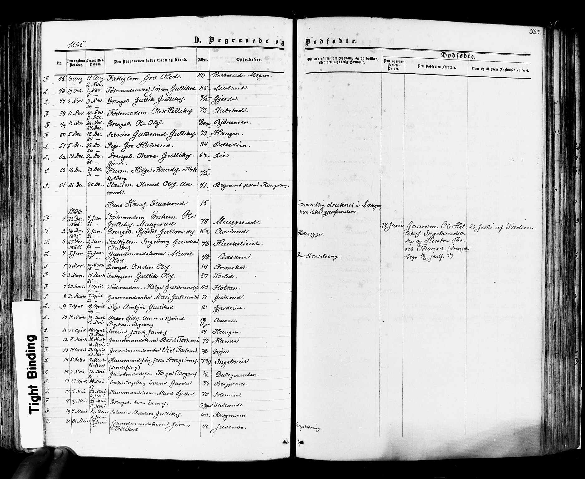 Flesberg kirkebøker, AV/SAKO-A-18/F/Fa/L0007: Parish register (official) no. I 7, 1861-1878, p. 320