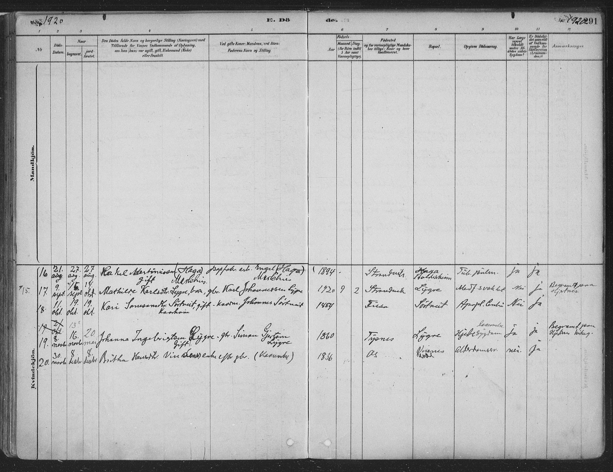Fusa sokneprestembete, SAB/A-75401/H/Haa: Parish register (official) no. D 1, 1880-1938, p. 291