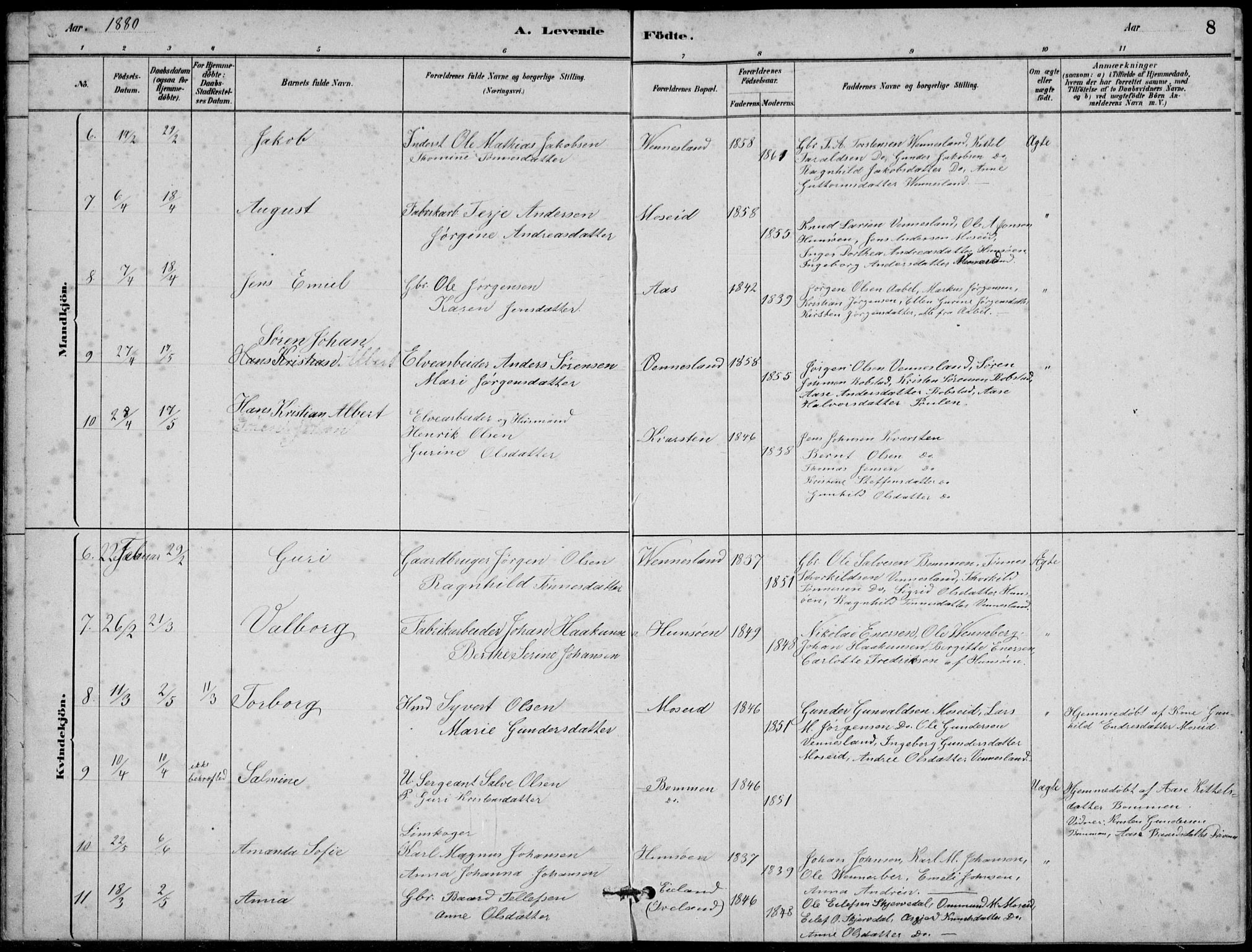 Vennesla sokneprestkontor, AV/SAK-1111-0045/Fb/Fbb/L0003: Parish register (copy) no. B 3, 1879-1893, p. 8