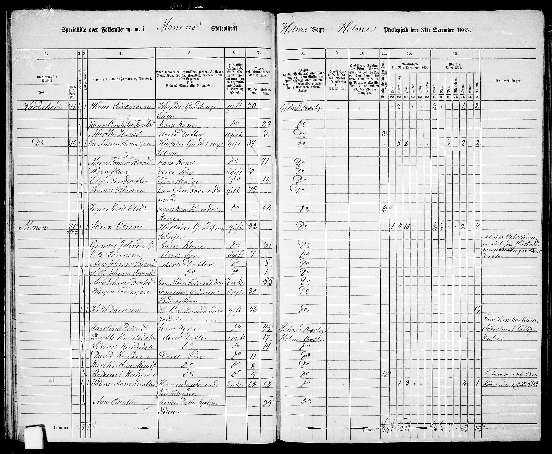 RA, 1865 census for Holum, 1865, p. 29