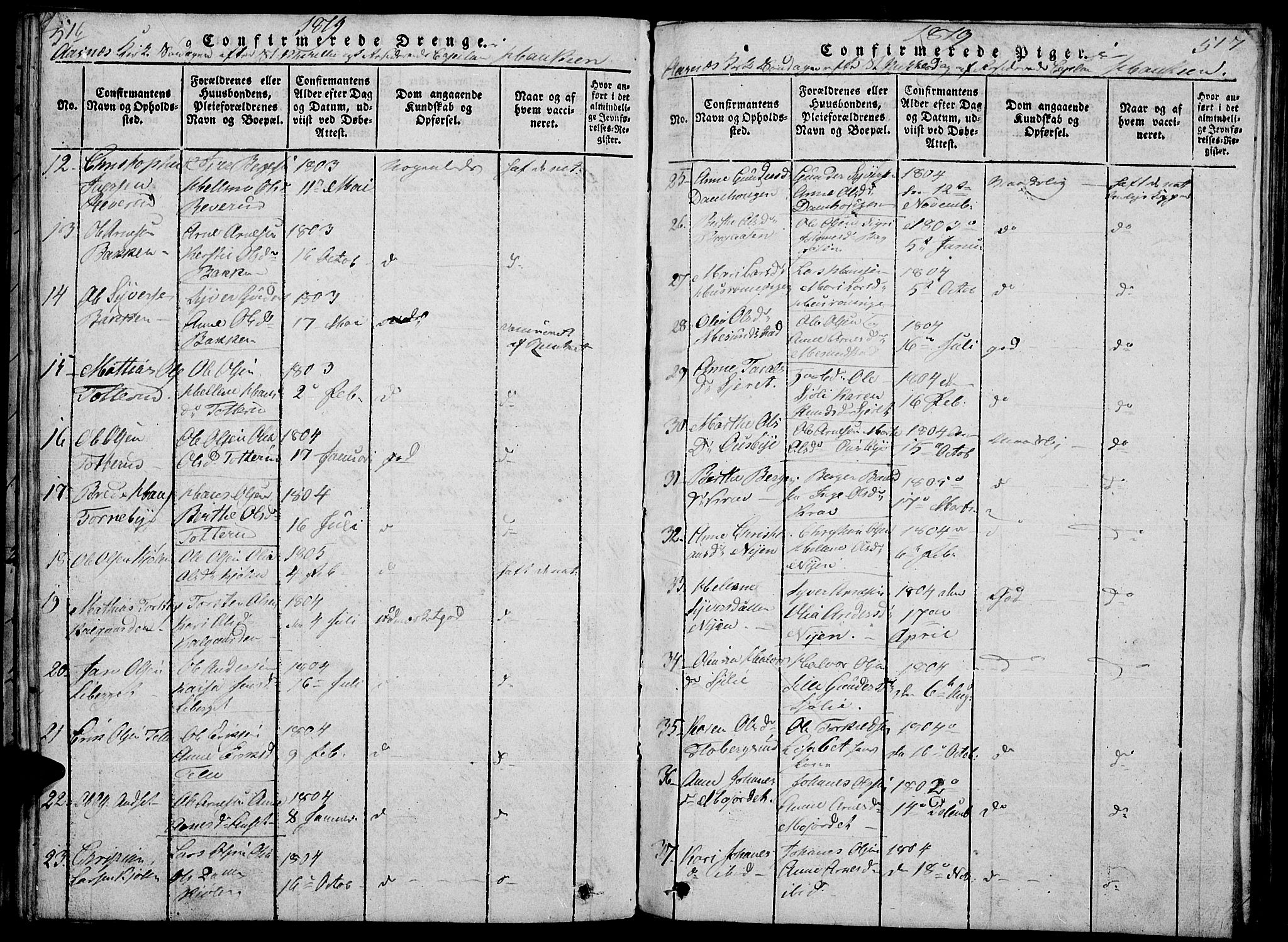 Hof prestekontor, AV/SAH-PREST-038/H/Ha/Haa/L0005: Parish register (official) no. 5, 1816-1822, p. 516-517