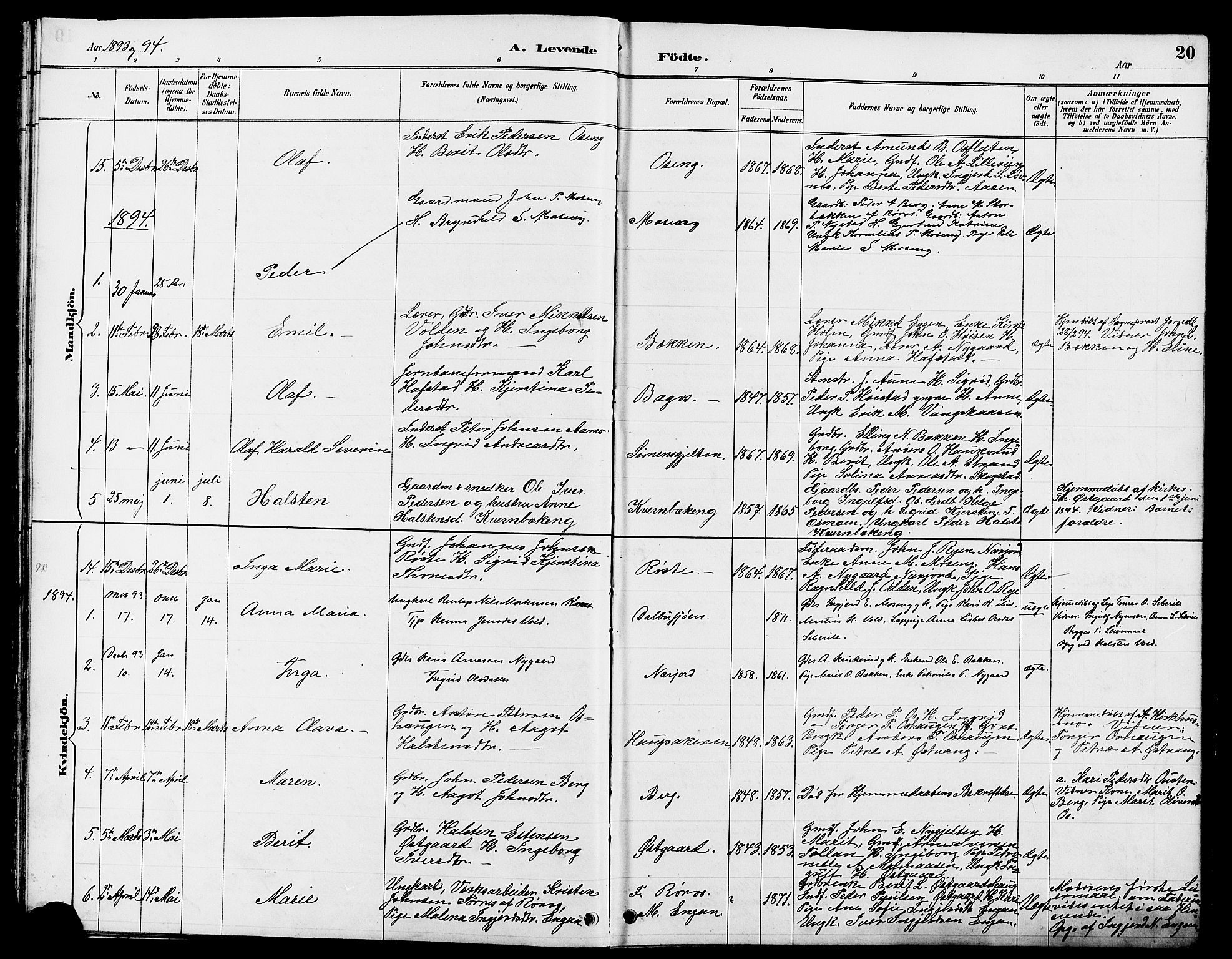 Tolga prestekontor, AV/SAH-PREST-062/L/L0008: Parish register (copy) no. 8, 1887-1912, p. 20