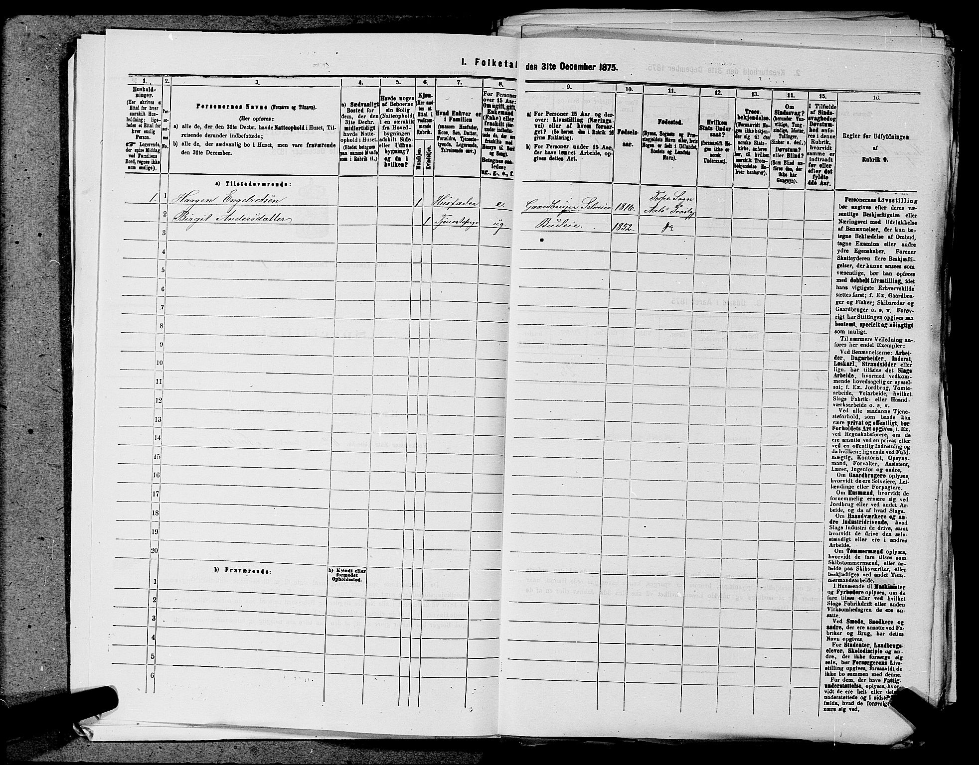 SAKO, 1875 census for 0619P Ål, 1875, p. 29