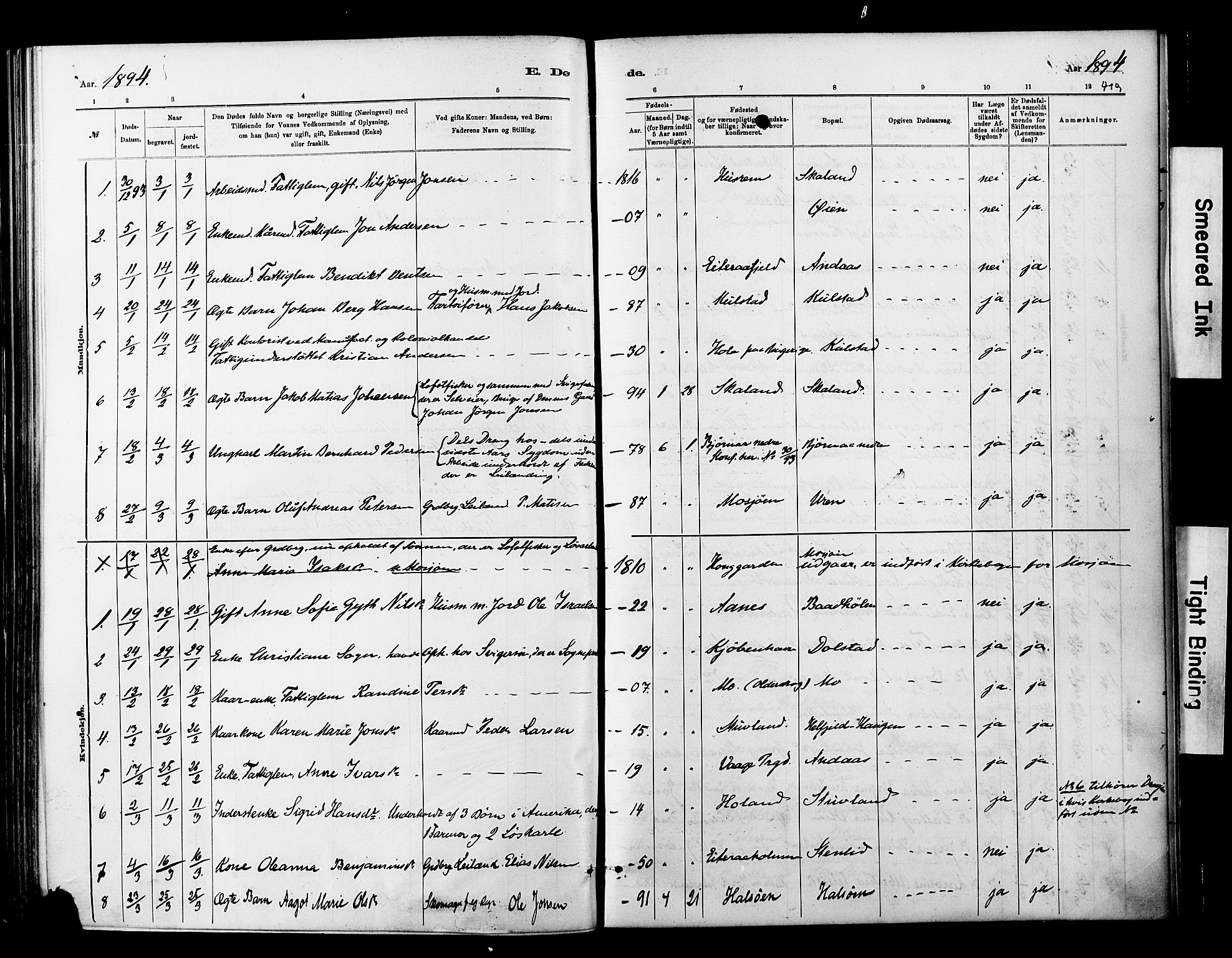Ministerialprotokoller, klokkerbøker og fødselsregistre - Nordland, AV/SAT-A-1459/820/L0295: Parish register (official) no. 820A16, 1880-1896, p. 419
