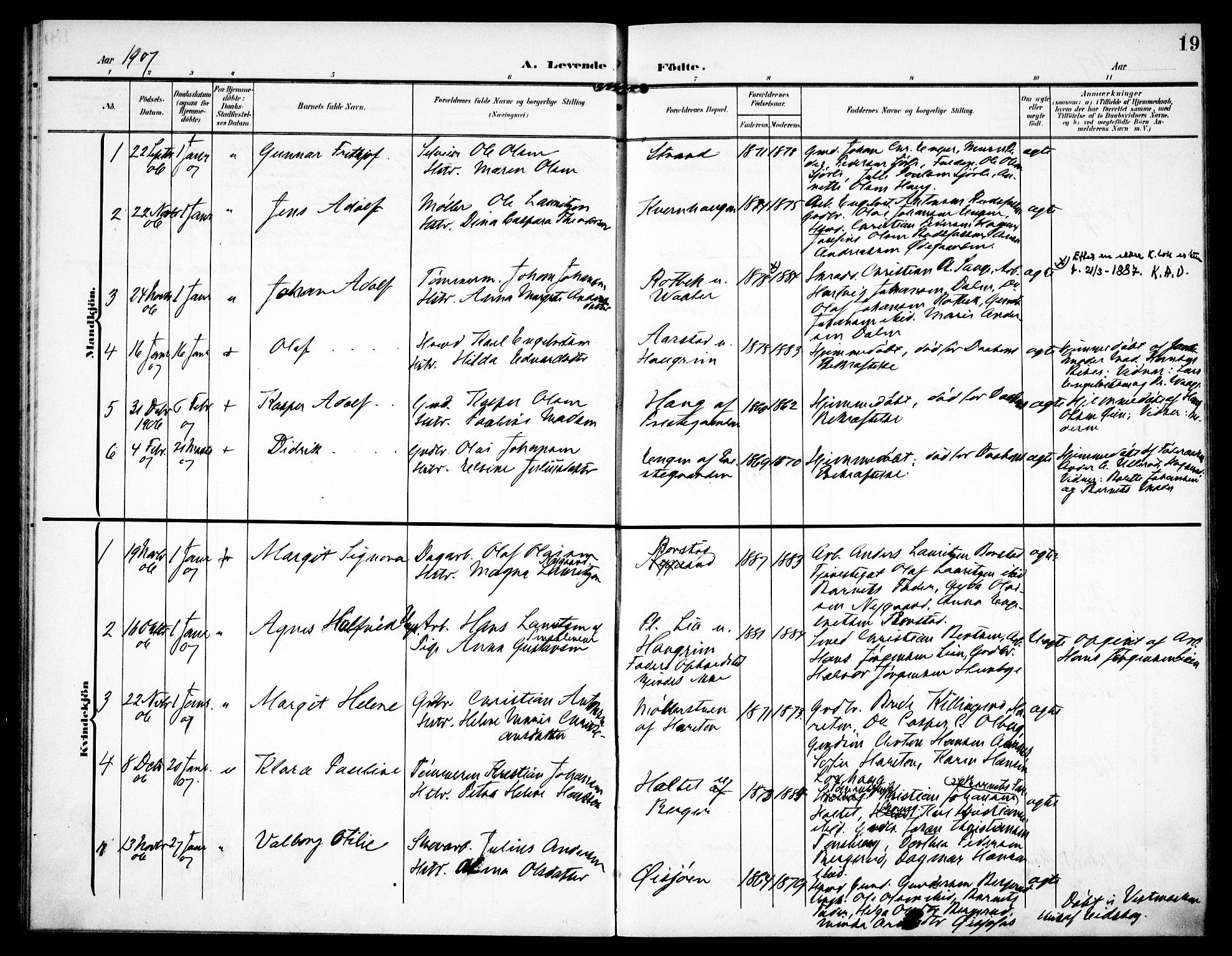 Aurskog prestekontor Kirkebøker, SAO/A-10304a/F/Fa/L0011: Parish register (official) no. I 11, 1905-1911, p. 19