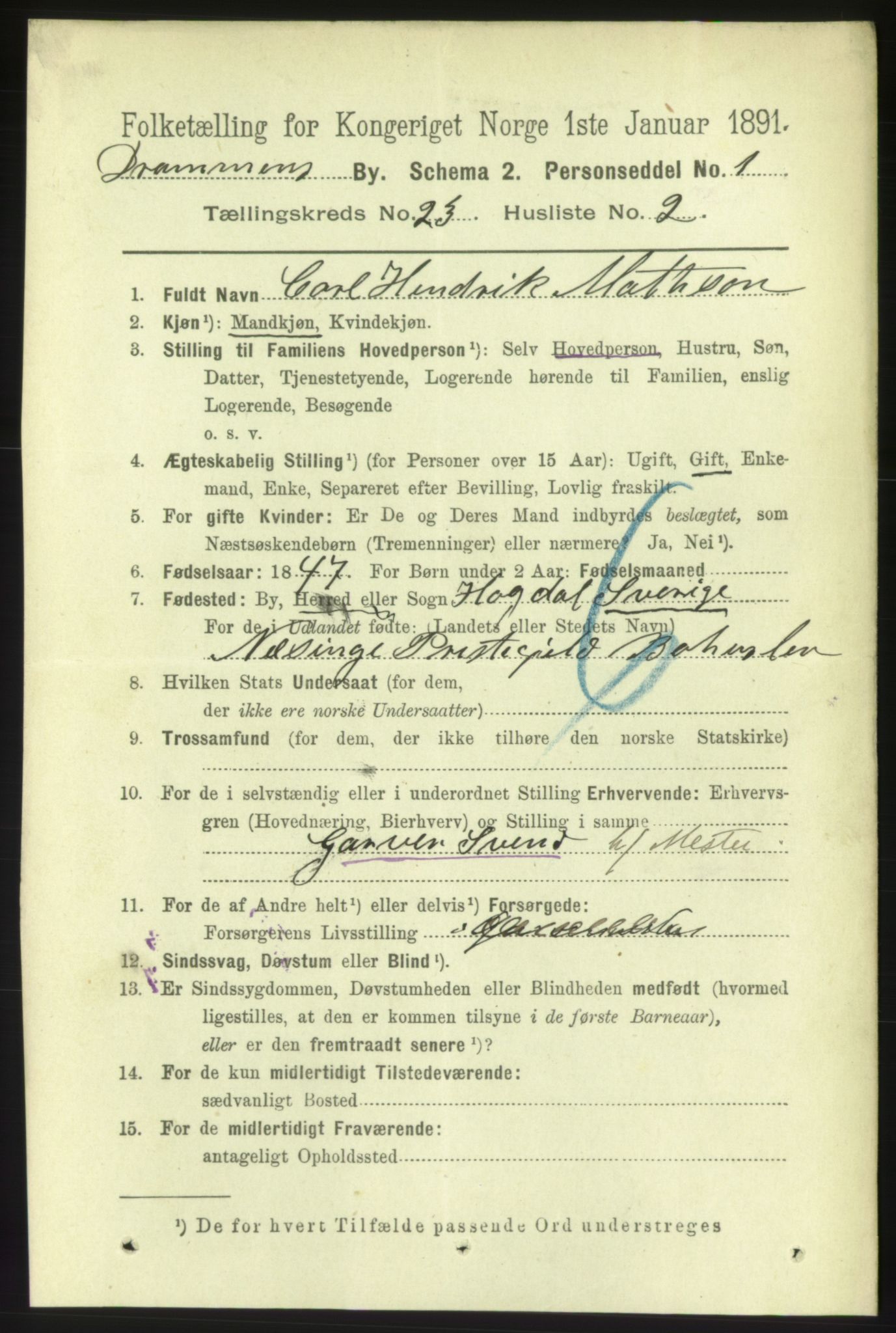 RA, 1891 census for 0602 Drammen, 1891, p. 14061