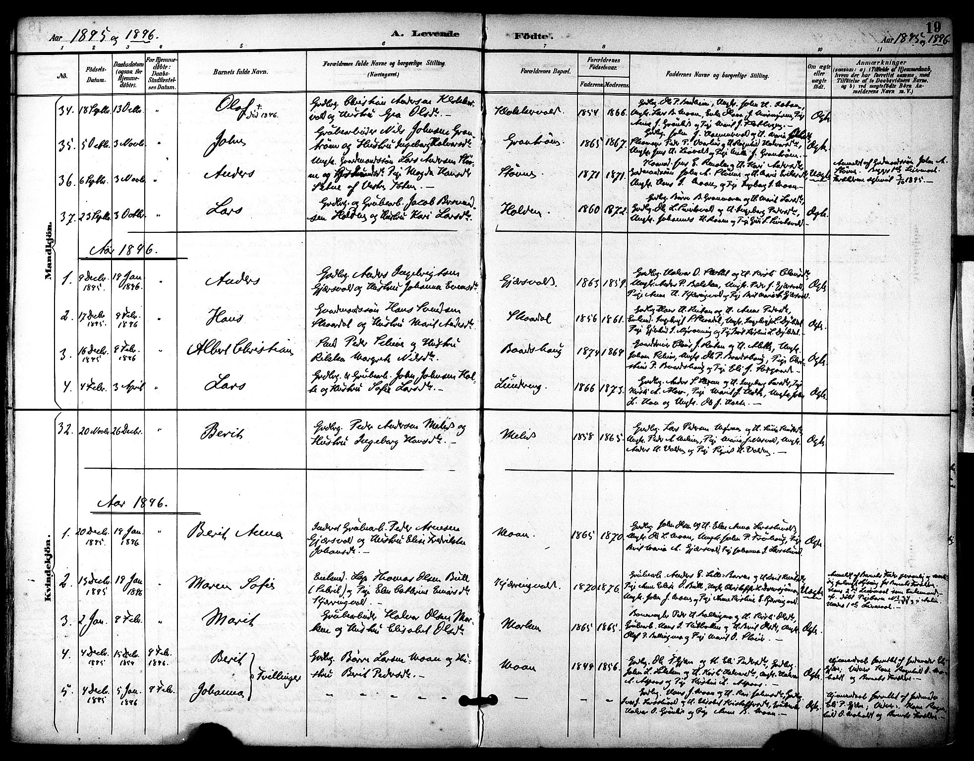 Ministerialprotokoller, klokkerbøker og fødselsregistre - Sør-Trøndelag, AV/SAT-A-1456/686/L0984: Parish register (official) no. 686A02, 1891-1906, p. 19