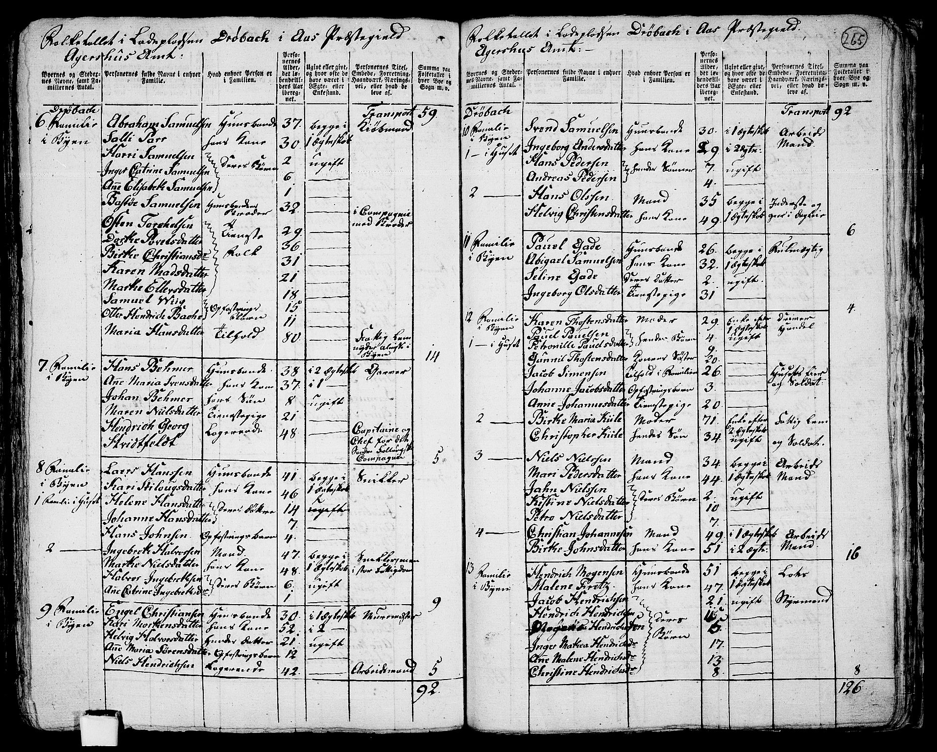 RA, 1801 census for 0214P Ås, 1801, p. 264b-265a