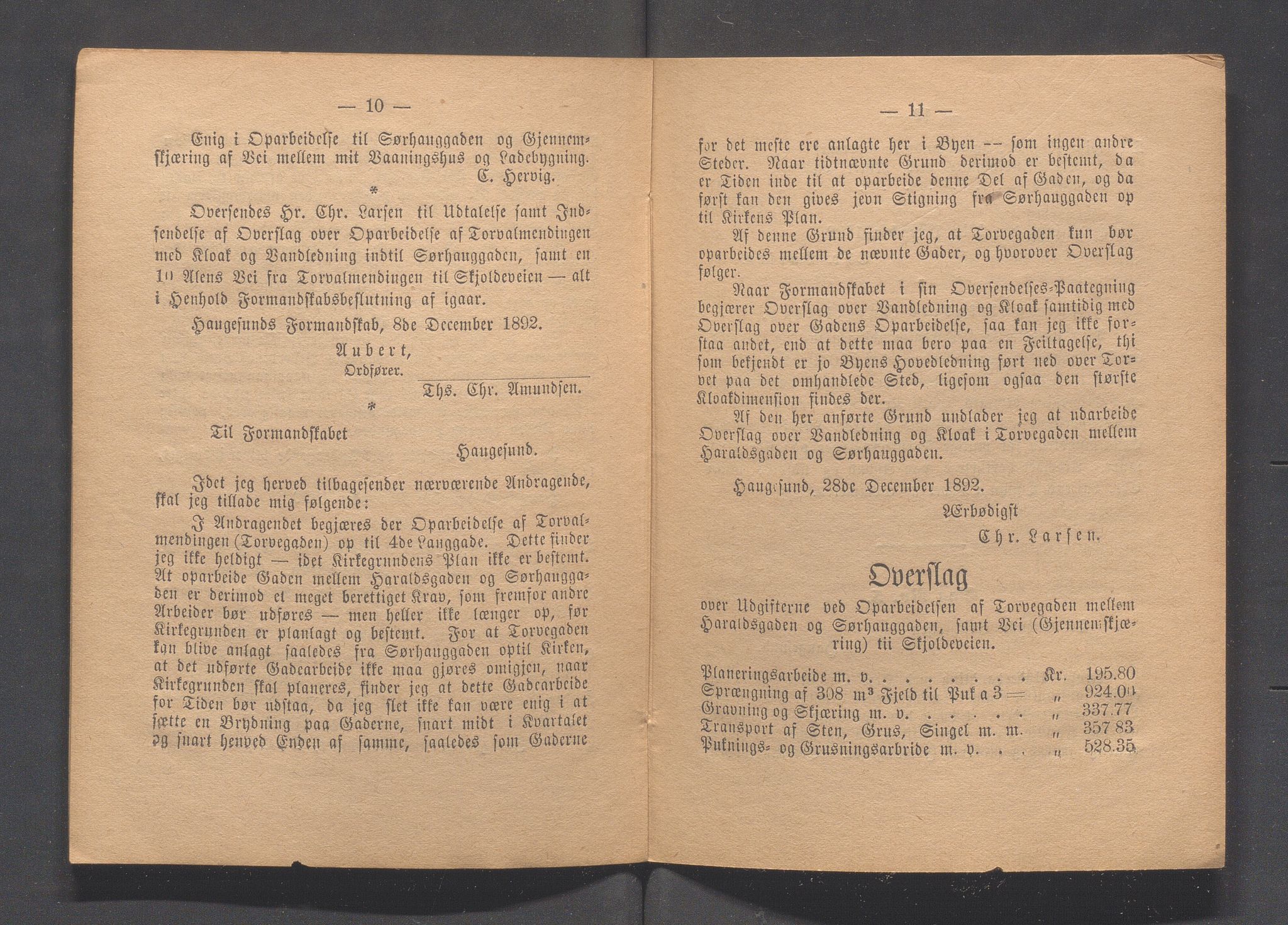 Haugesund kommune - Formannskapet og Bystyret, IKAR/A-740/A/Abb/L0001: Bystyreforhandlinger, 1889-1907, p. 124