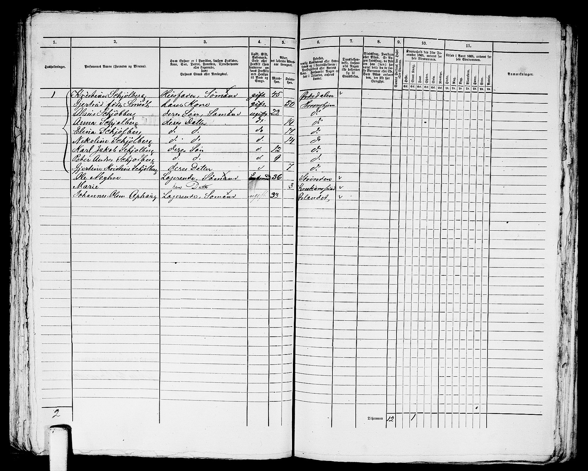 RA, 1865 census for Trondheim, 1865, p. 2417