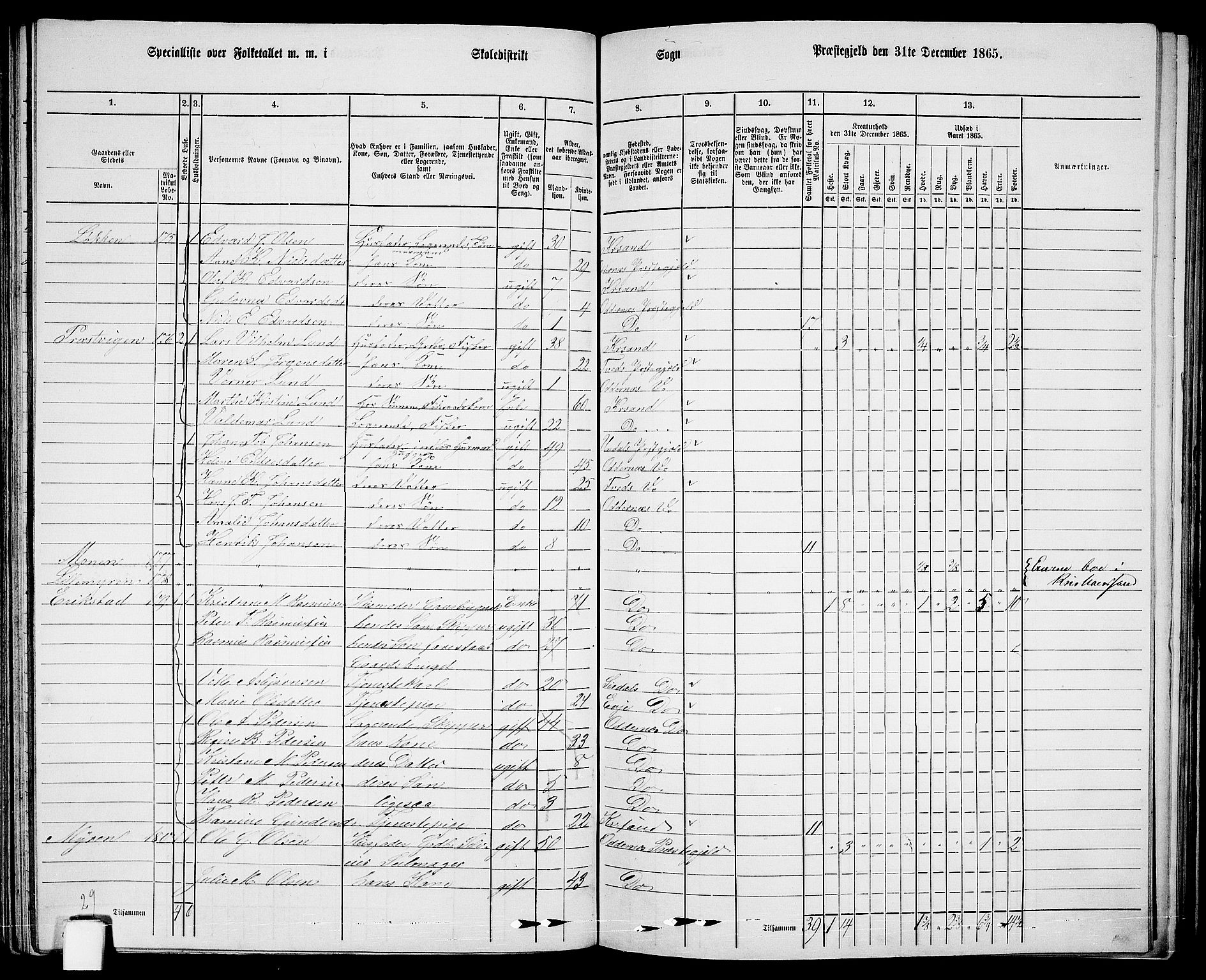 RA, 1865 census for Oddernes, 1865, p. 99