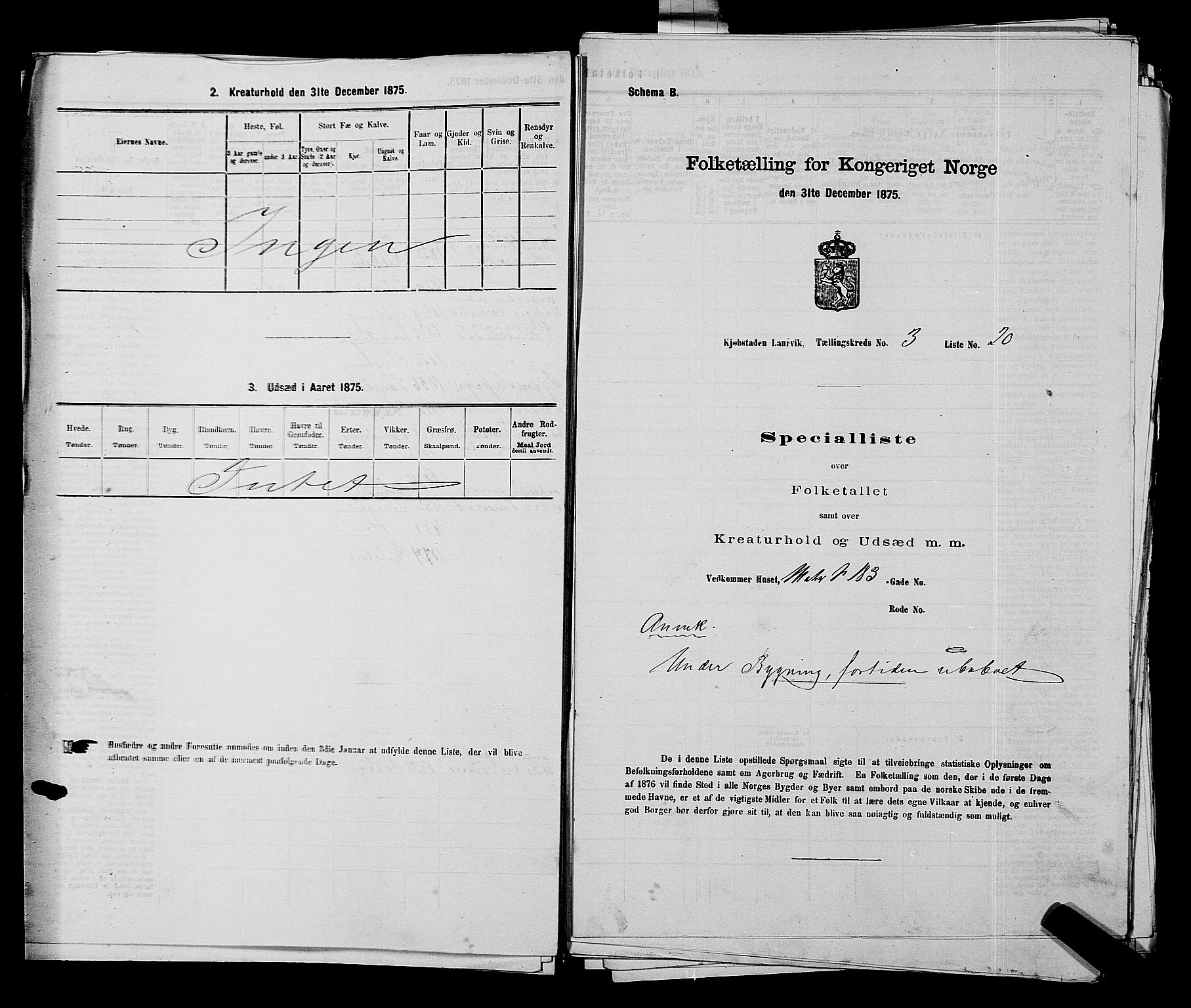 SAKO, 1875 census for 0707P Larvik, 1875, p. 554