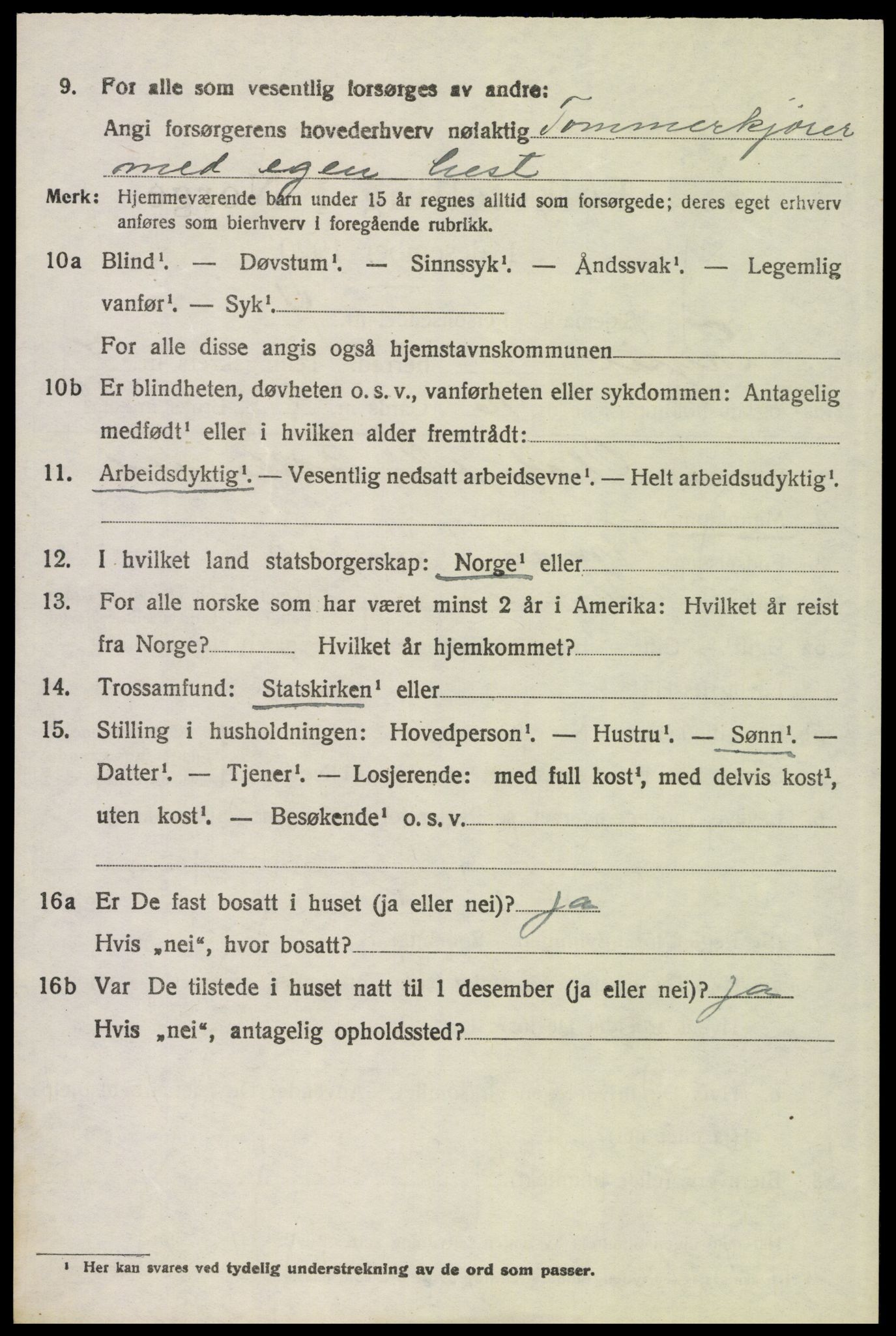 SAH, 1920 census for Trysil, 1920, p. 5394