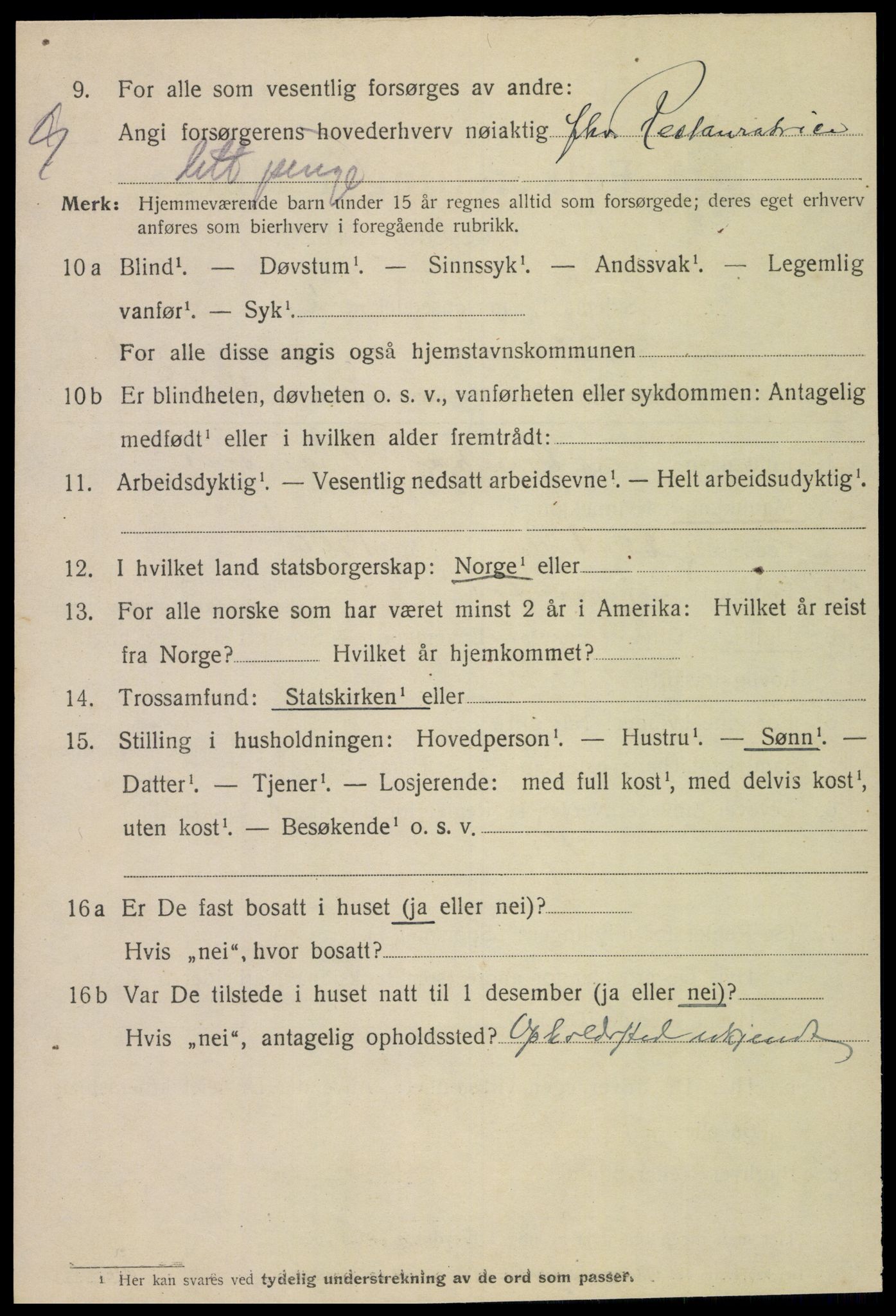 SAT, 1920 census for Namsos, 1920, p. 3132