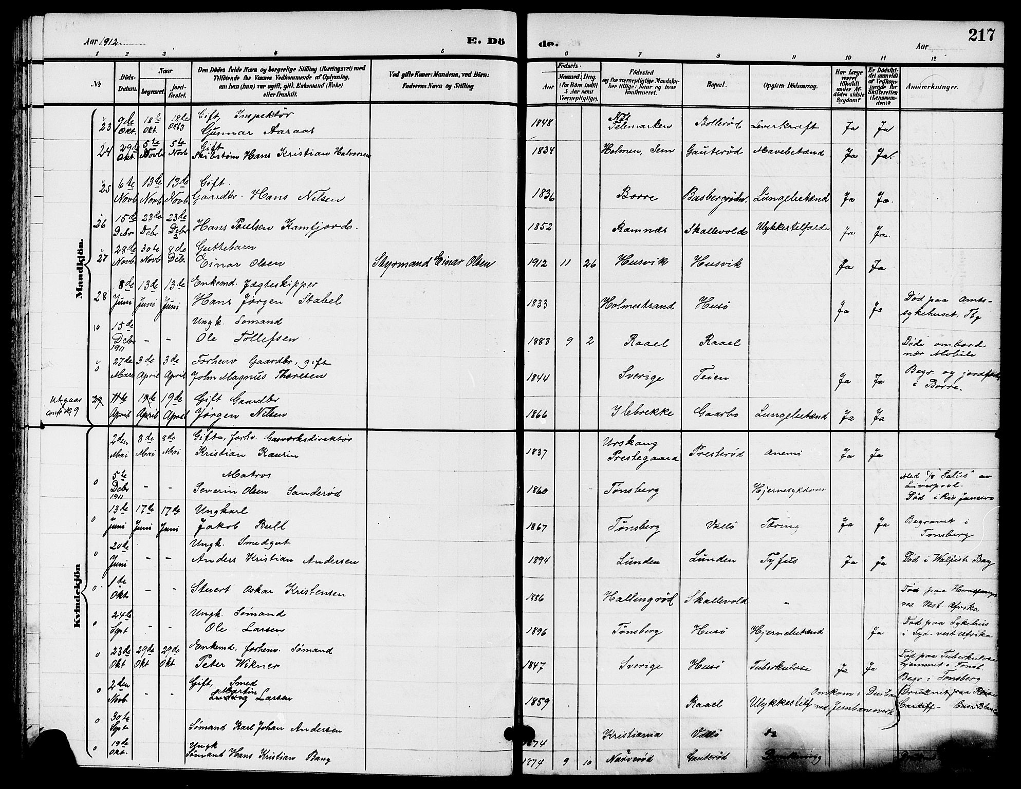Sem kirkebøker, AV/SAKO-A-5/G/Gb/L0003: Parish register (copy) no. II 3, 1900-1913, p. 217