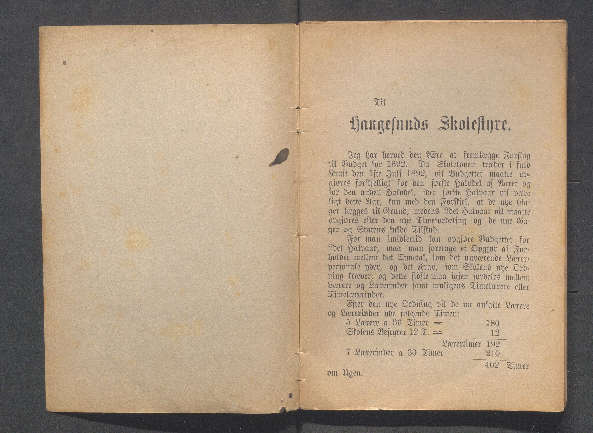 Haugesund kommune - Formannskapet og Bystyret, IKAR/A-740/A/Abb/L0001: Bystyreforhandlinger, 1889-1907, p. 88