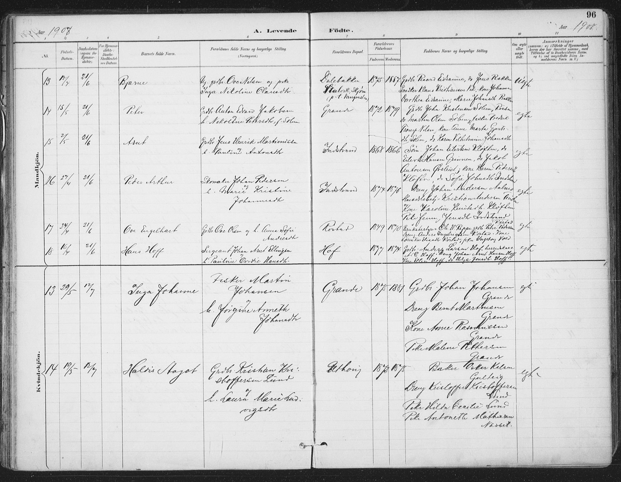 Ministerialprotokoller, klokkerbøker og fødselsregistre - Sør-Trøndelag, SAT/A-1456/659/L0743: Parish register (official) no. 659A13, 1893-1910, p. 96
