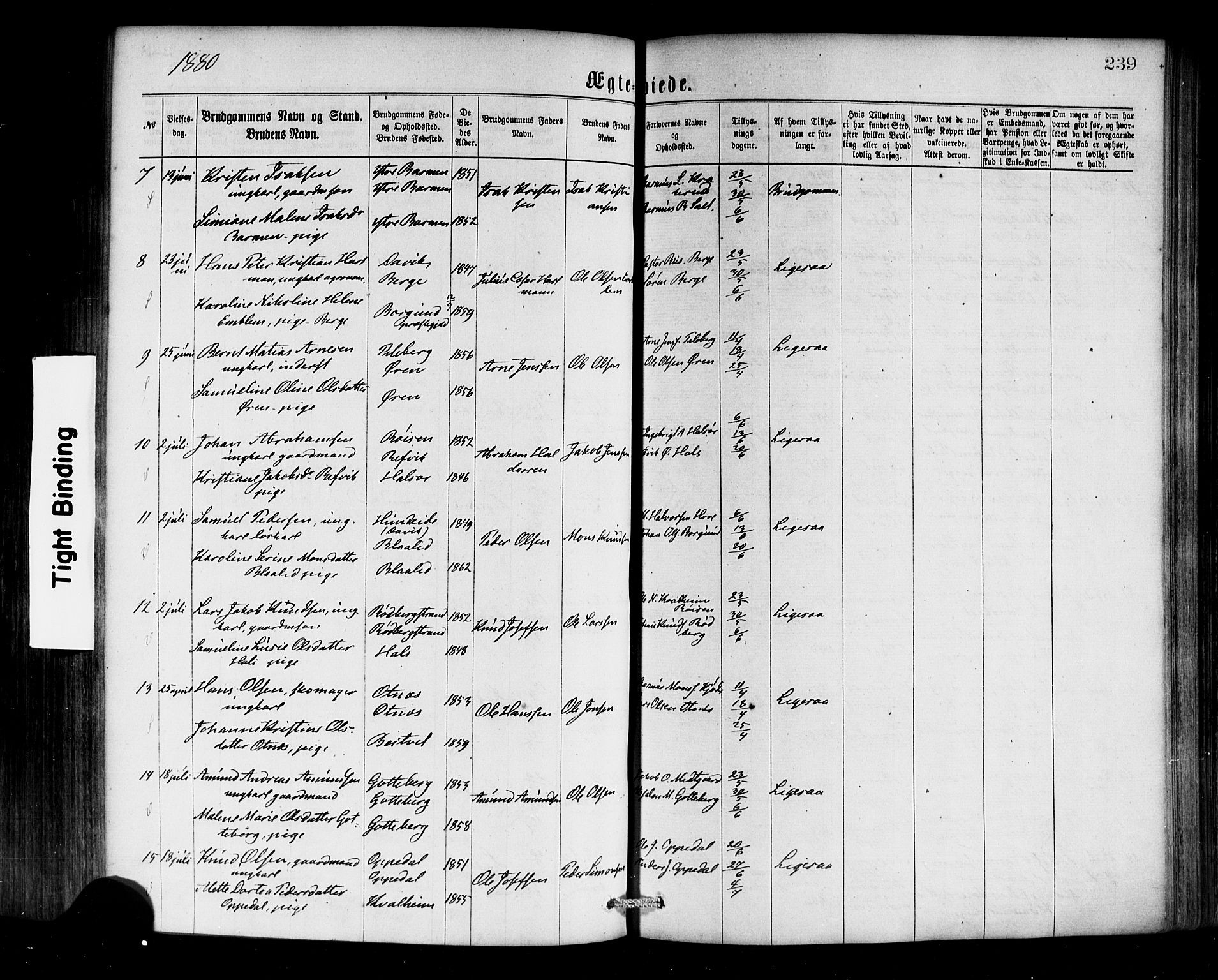 Selje sokneprestembete, SAB/A-99938/H/Ha/Haa/Haaa: Parish register (official) no. A 12, 1870-1880, p. 239