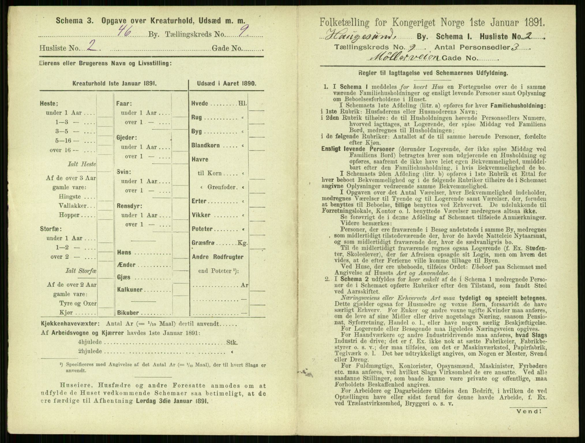 RA, 1891 census for 1106 Haugesund, 1891, p. 645