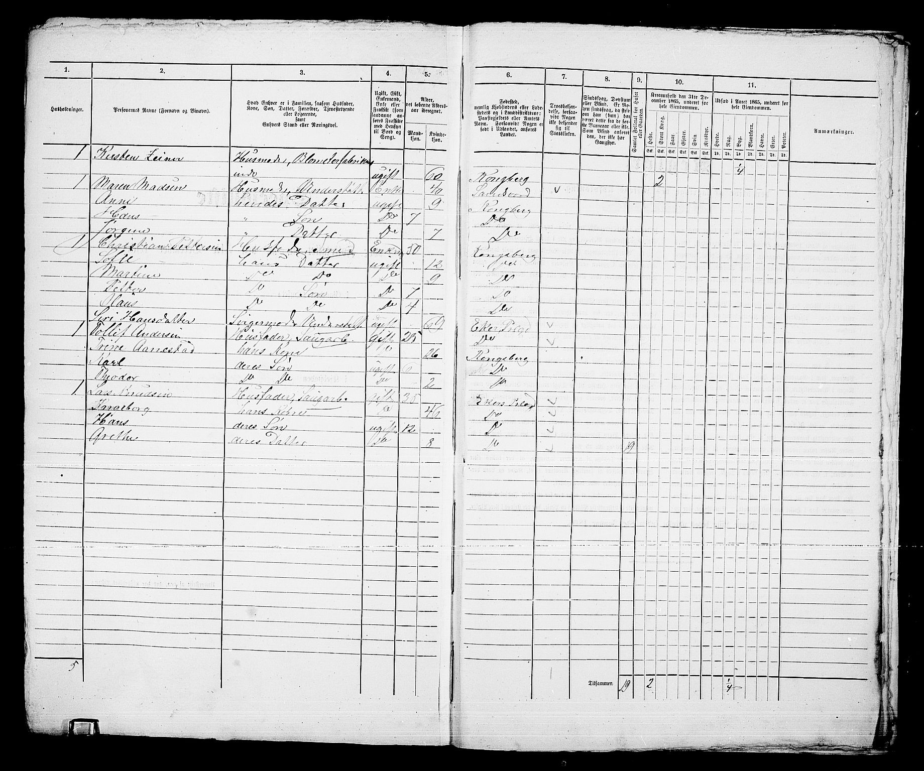 RA, 1865 census for Kongsberg/Kongsberg, 1865, p. 1002