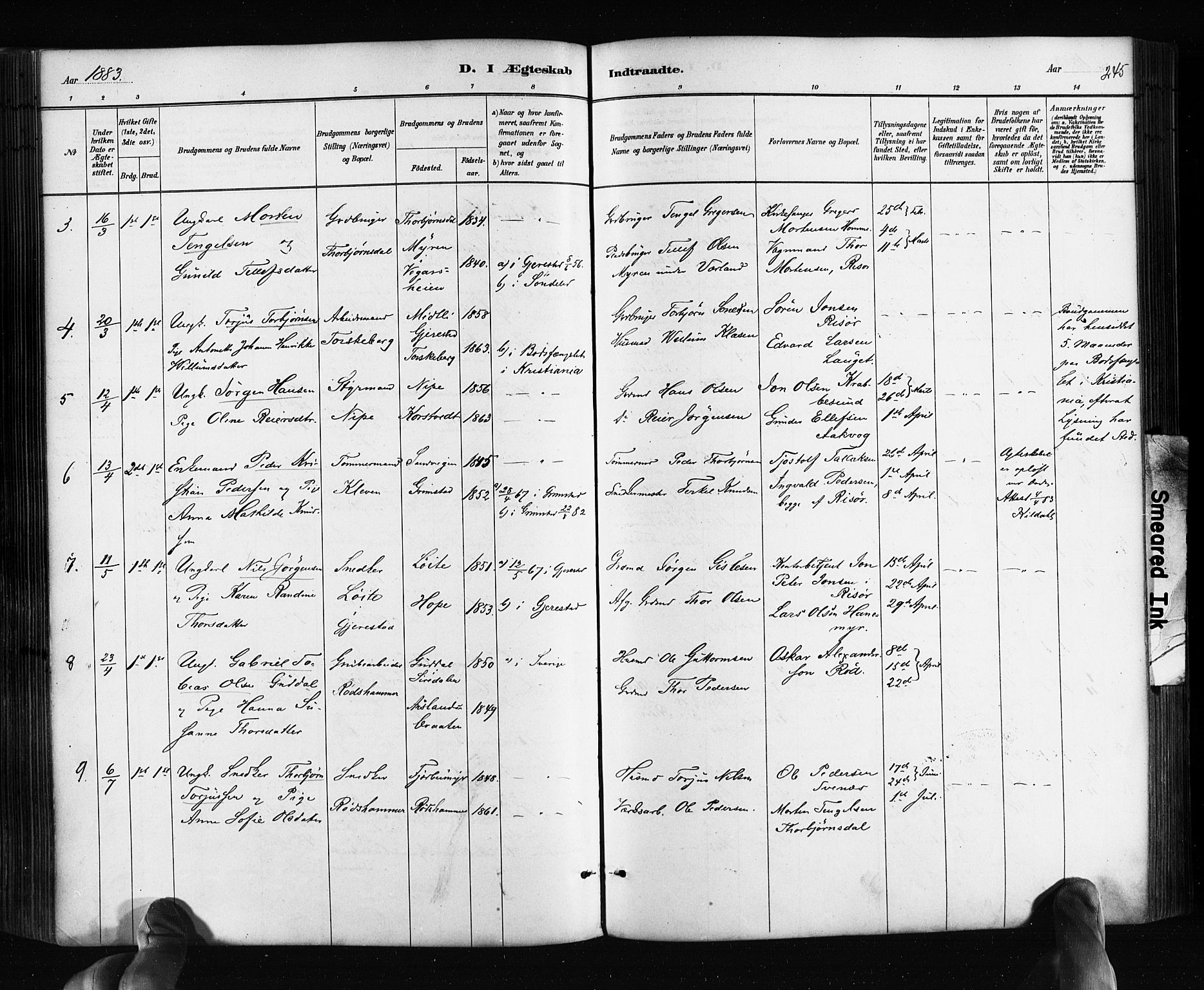 Søndeled sokneprestkontor, AV/SAK-1111-0038/F/Fa/L0004: Parish register (official) no. A 4, 1880-1889, p. 245