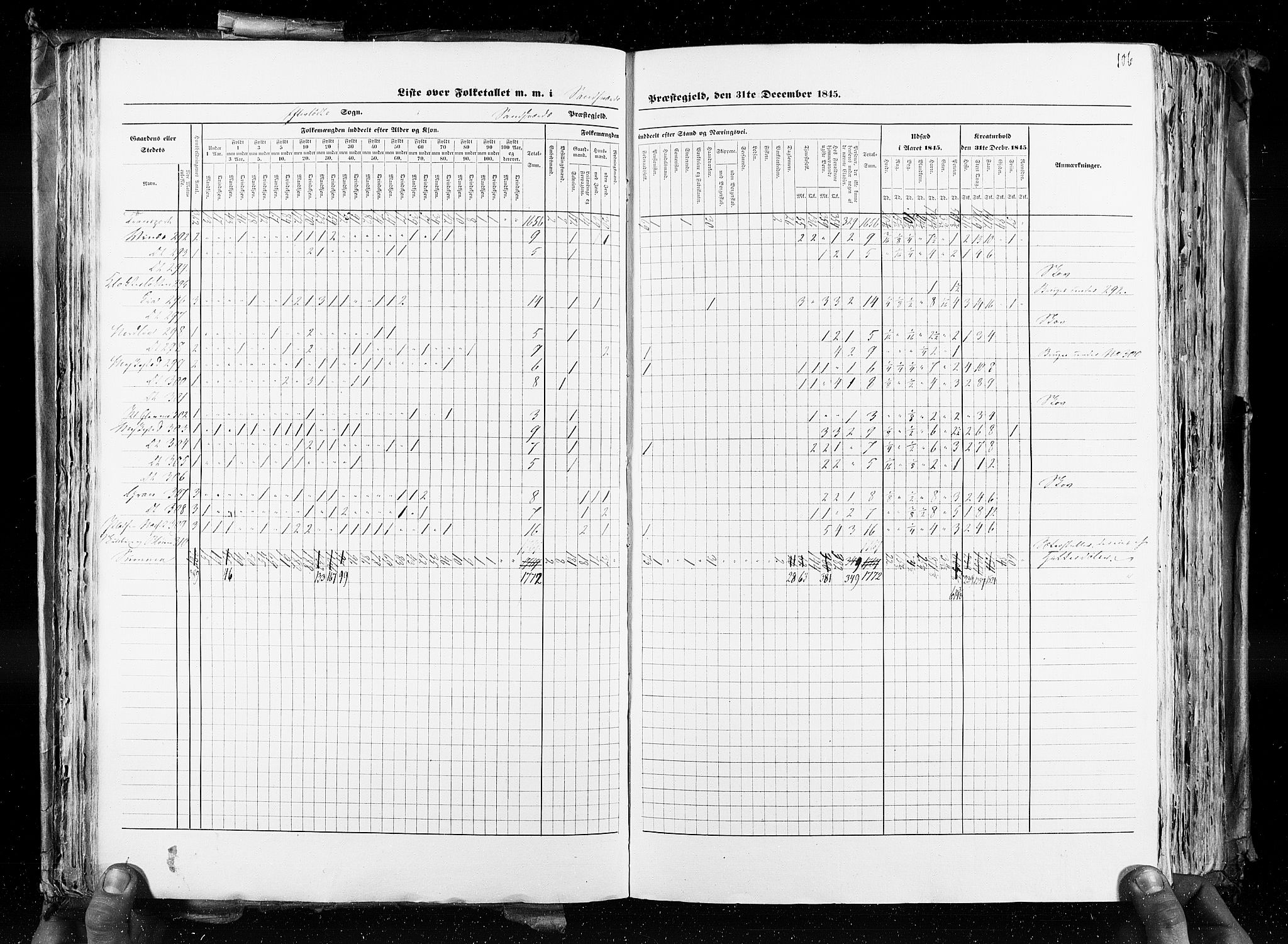 RA, Census 1845, vol. 4: Buskerud amt og Jarlsberg og Larvik amt, 1845, p. 106