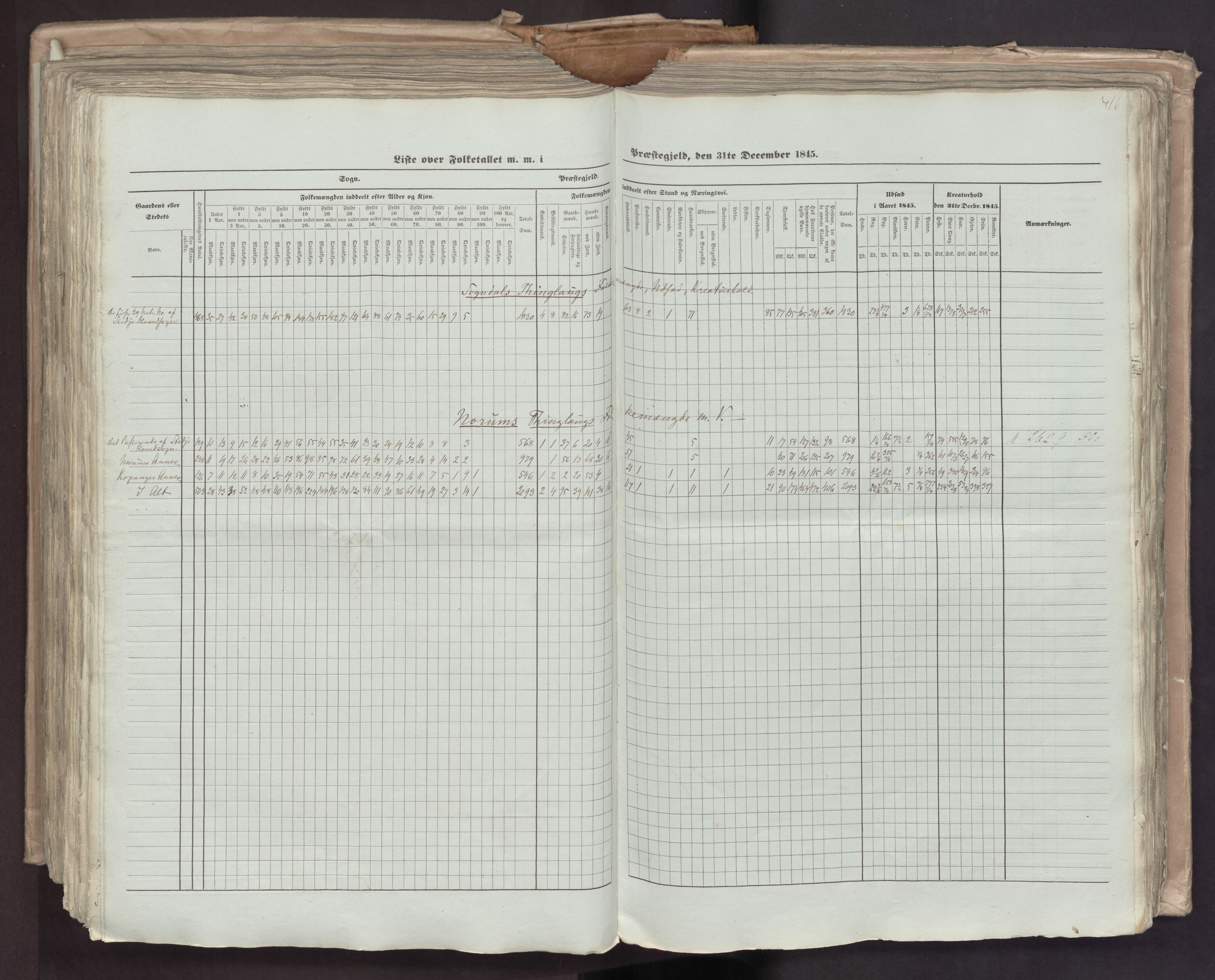 RA, Census 1845, vol. 7: Søndre Bergenhus amt og Nordre Bergenhus amt, 1845, p. 416