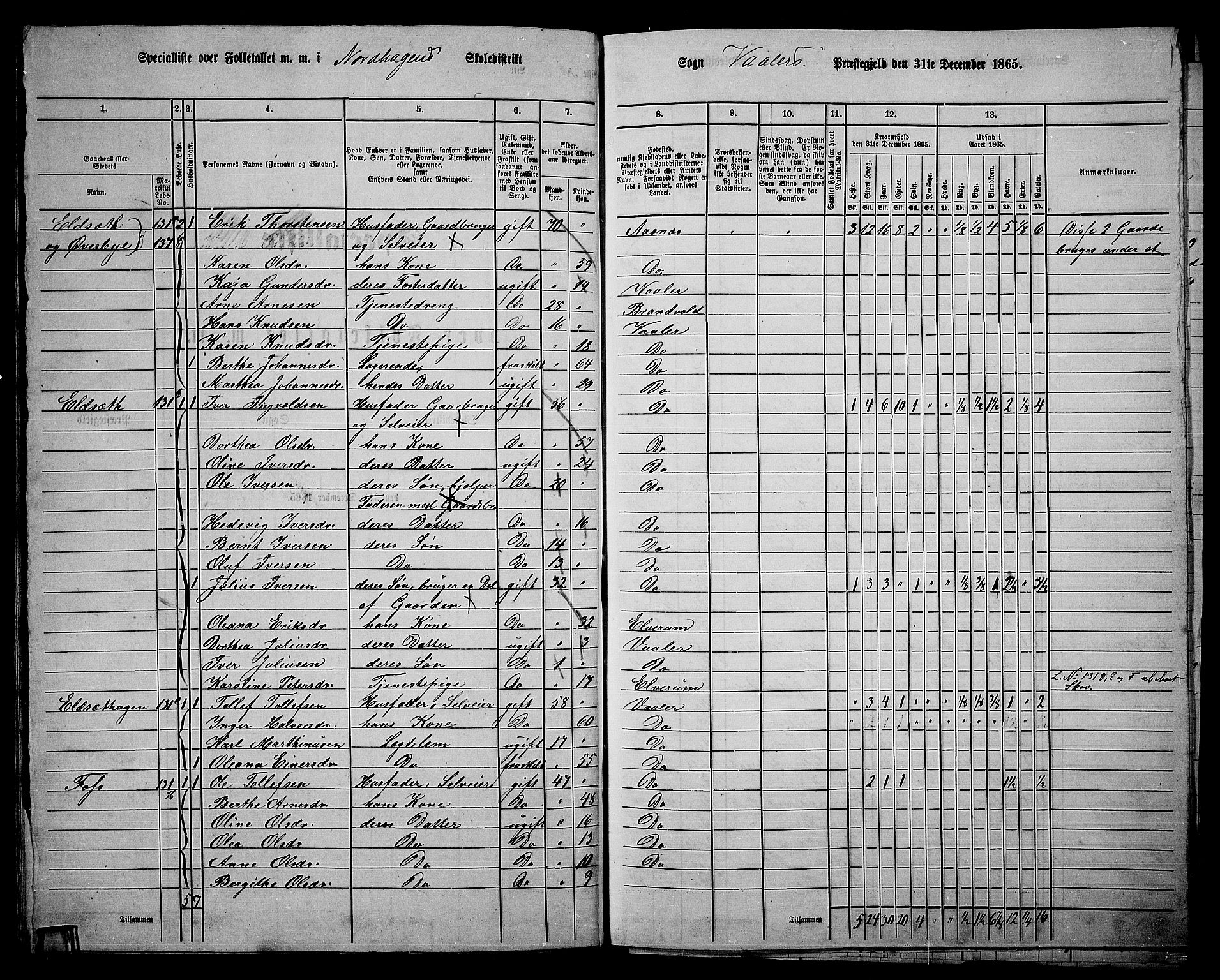 RA, 1865 census for Våler, 1865, p. 79